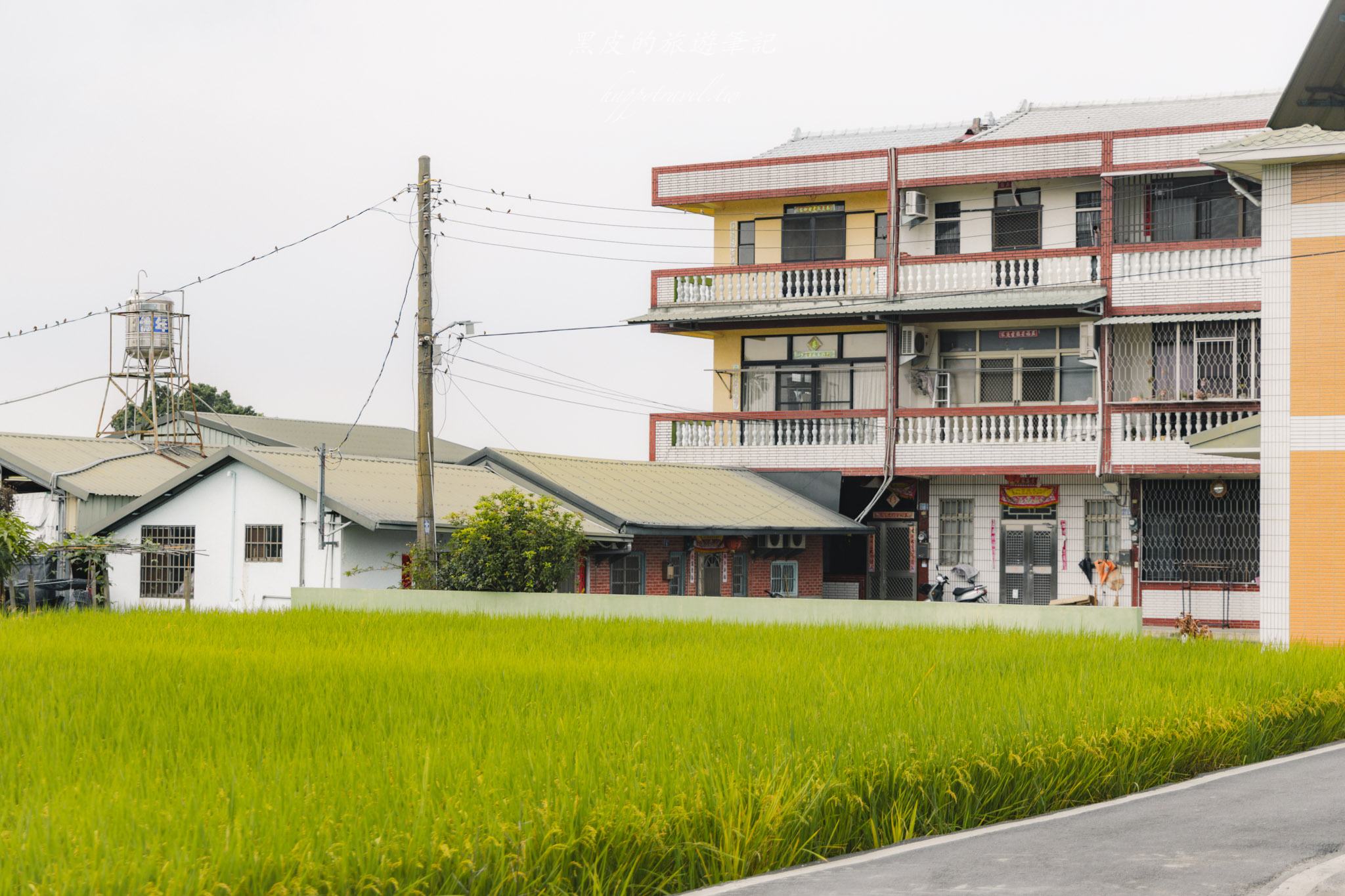 南投景點|竹山鹿谷一日遊,從田野玩到山林 42 南投景點|竹山鹿谷一日遊,從田野玩到山林