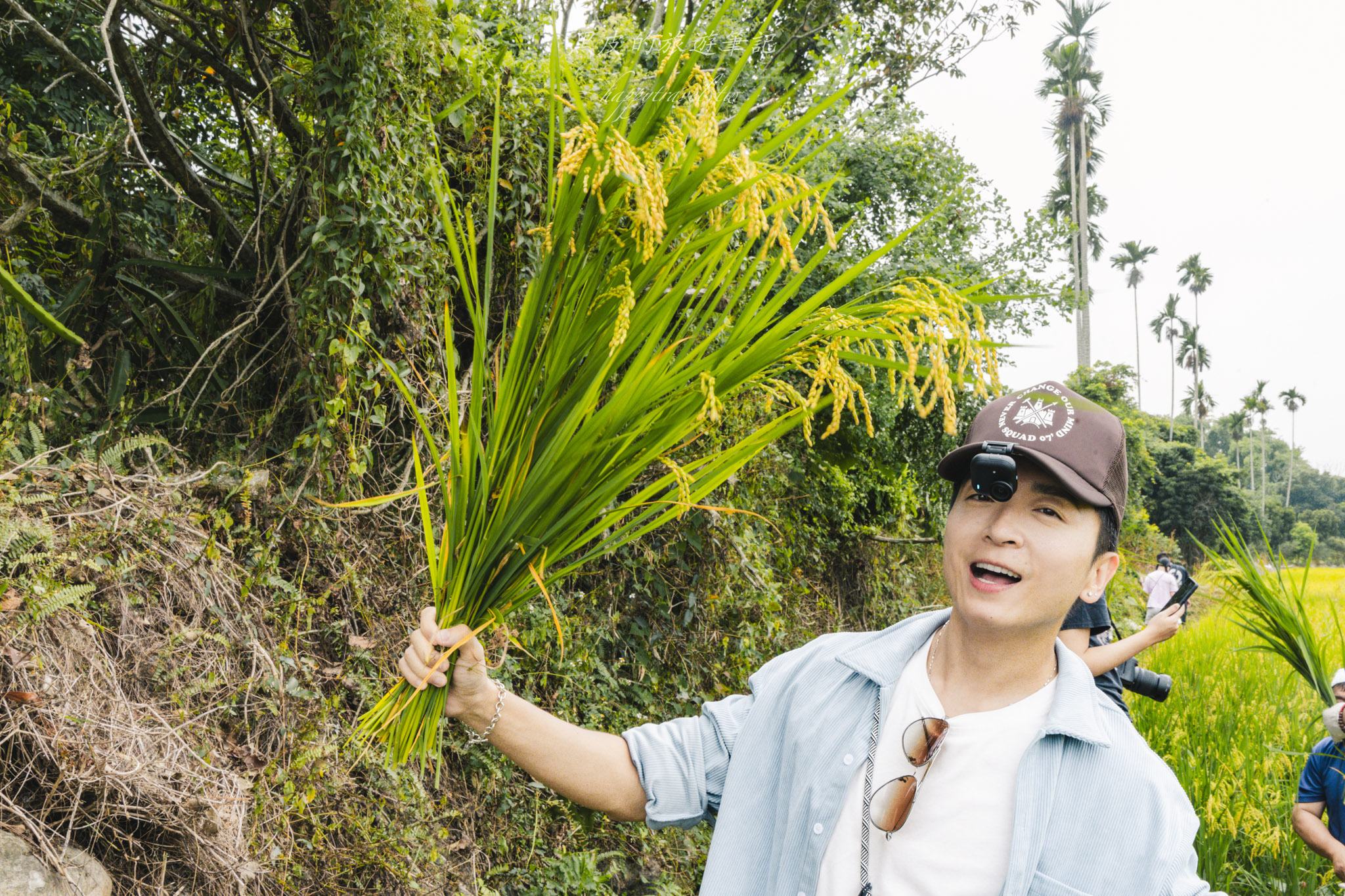 南投景點|竹山鹿谷一日遊,從田野玩到山林 50 南投景點|竹山鹿谷一日遊,從田野玩到山林