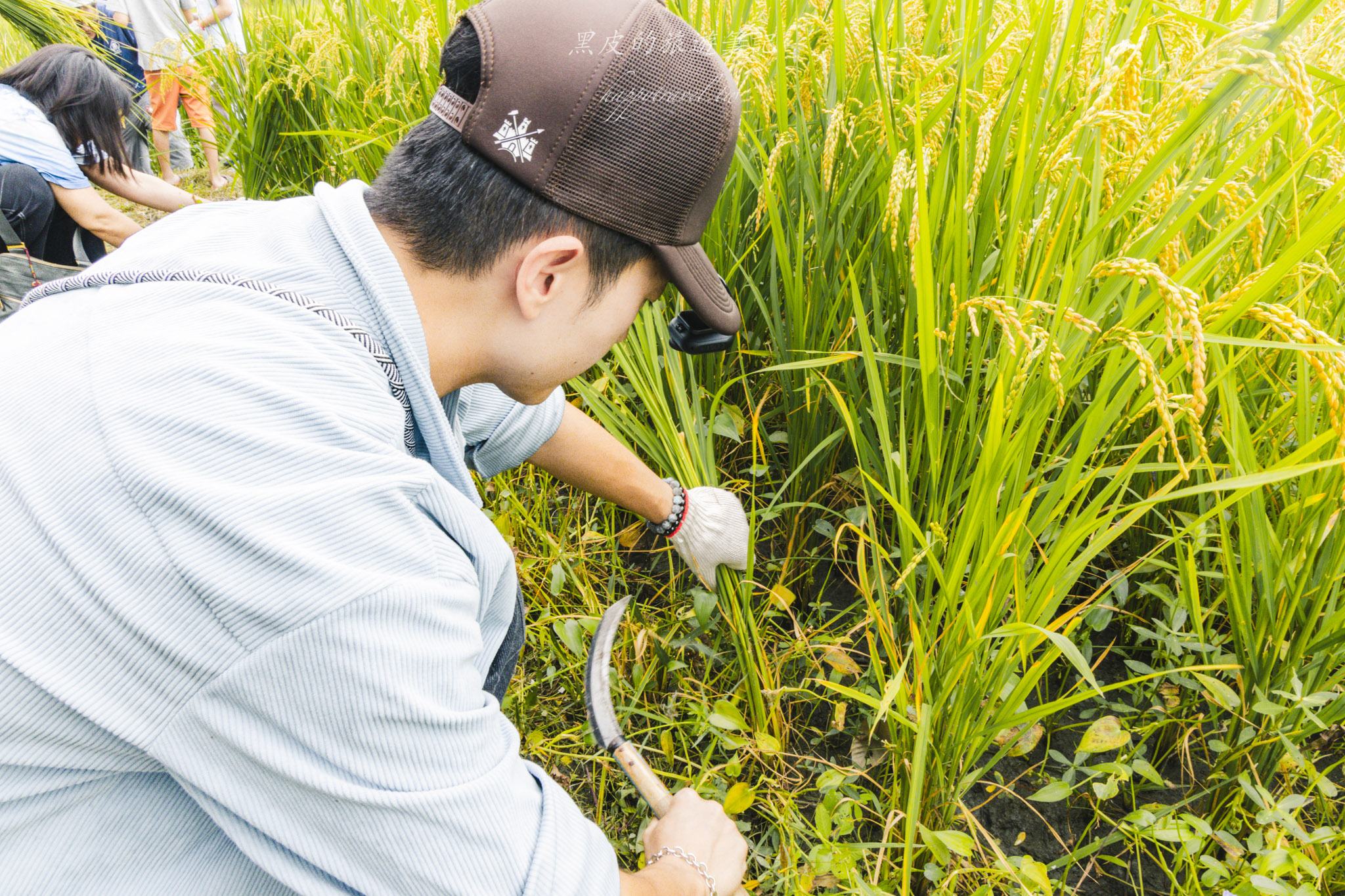 南投景點|竹山鹿谷一日遊,從田野玩到山林 48 南投景點|竹山鹿谷一日遊,從田野玩到山林