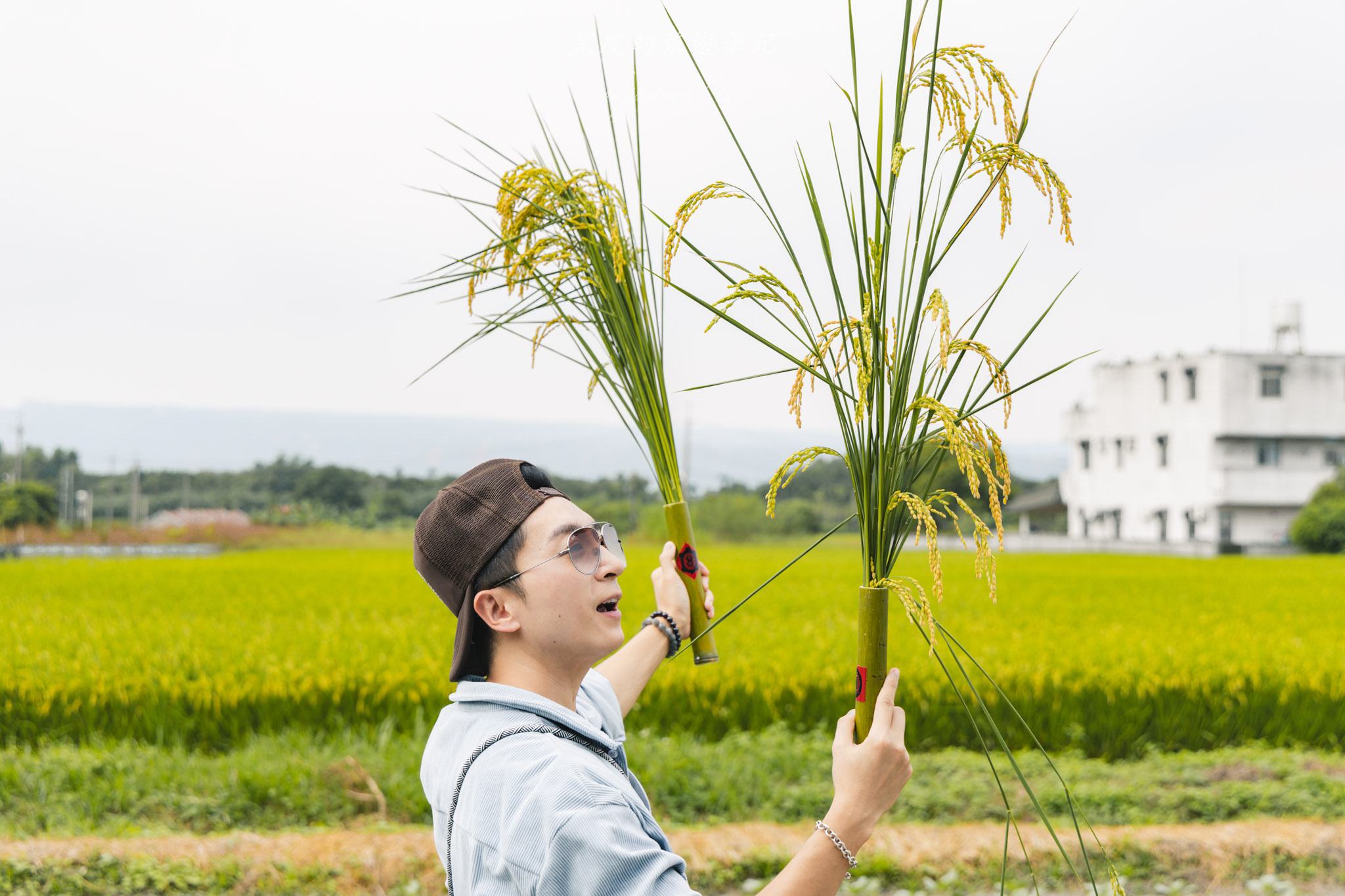 南投景點|竹山鹿谷一日遊,從田野玩到山林 53 南投景點|竹山鹿谷一日遊,從田野玩到山林