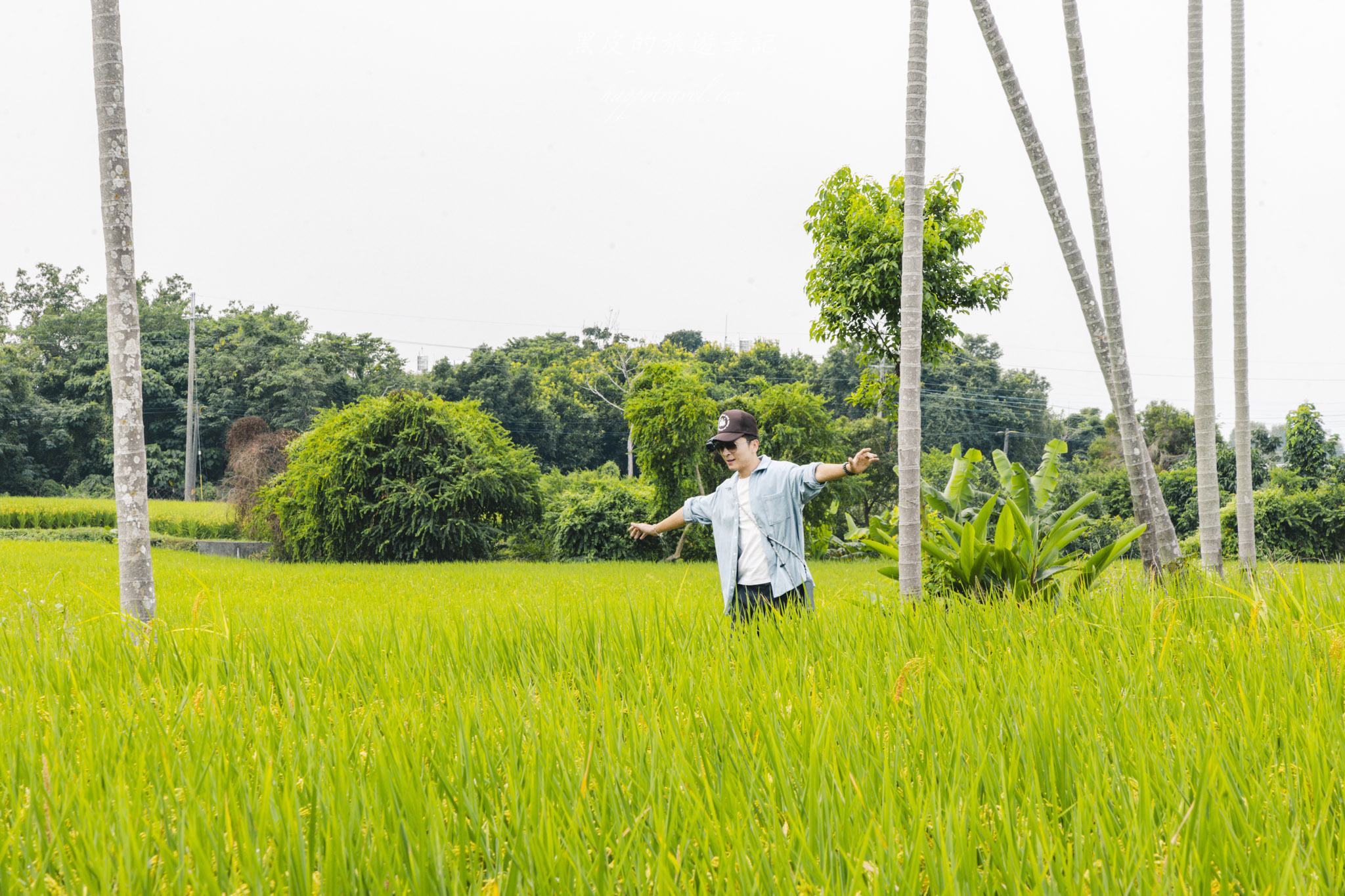 南投景點|竹山鹿谷一日遊,從田野玩到山林 46 南投景點|竹山鹿谷一日遊,從田野玩到山林
