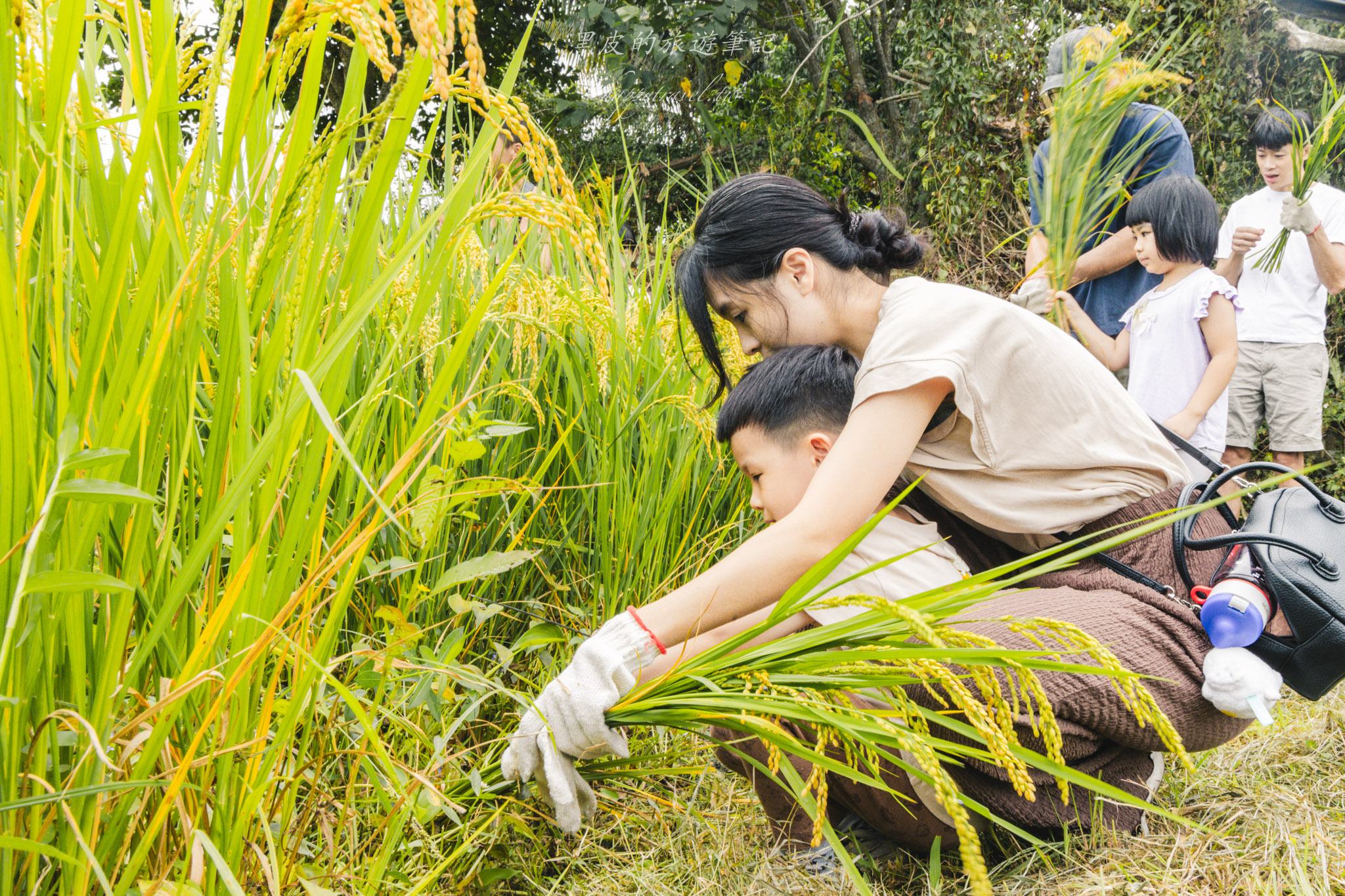 南投景點|竹山鹿谷一日遊,從田野玩到山林 49 南投景點|竹山鹿谷一日遊,從田野玩到山林