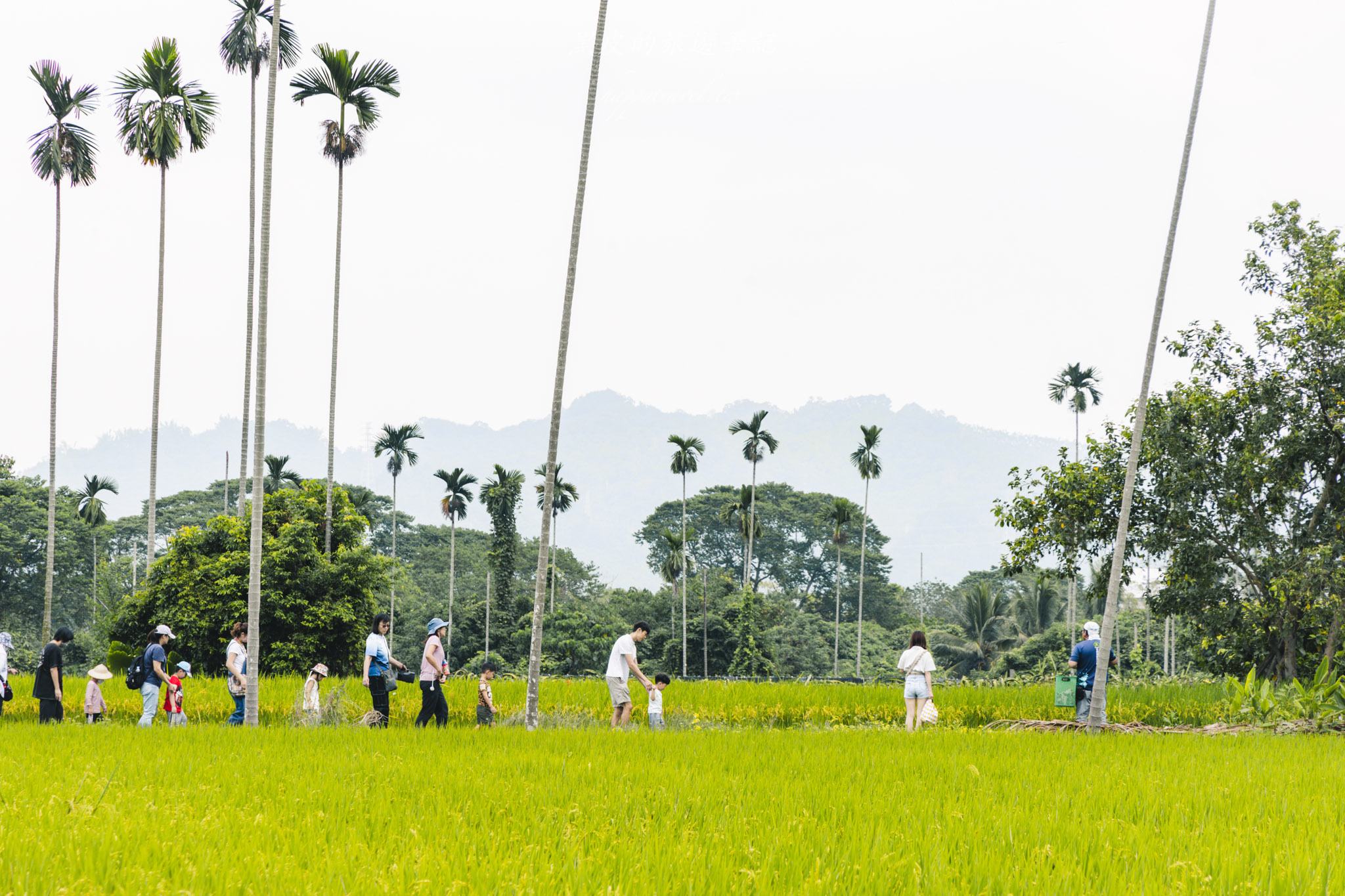 南投景點|竹山鹿谷一日遊,從田野玩到山林 45 南投景點|竹山鹿谷一日遊,從田野玩到山林