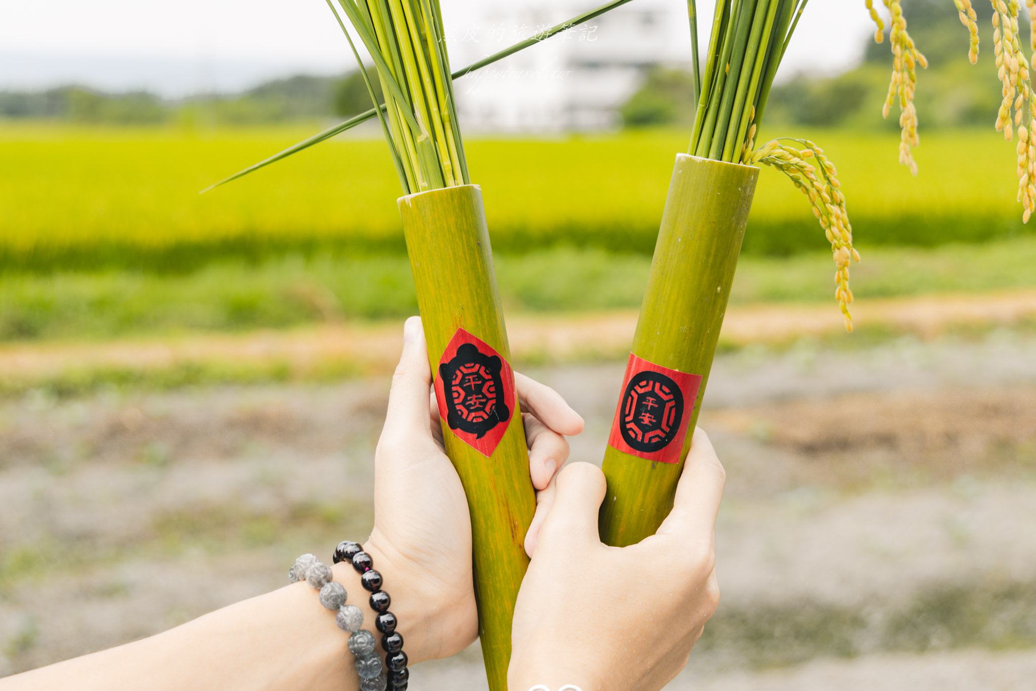南投景點|竹山鹿谷一日遊,從田野玩到山林 52 南投景點|竹山鹿谷一日遊,從田野玩到山林