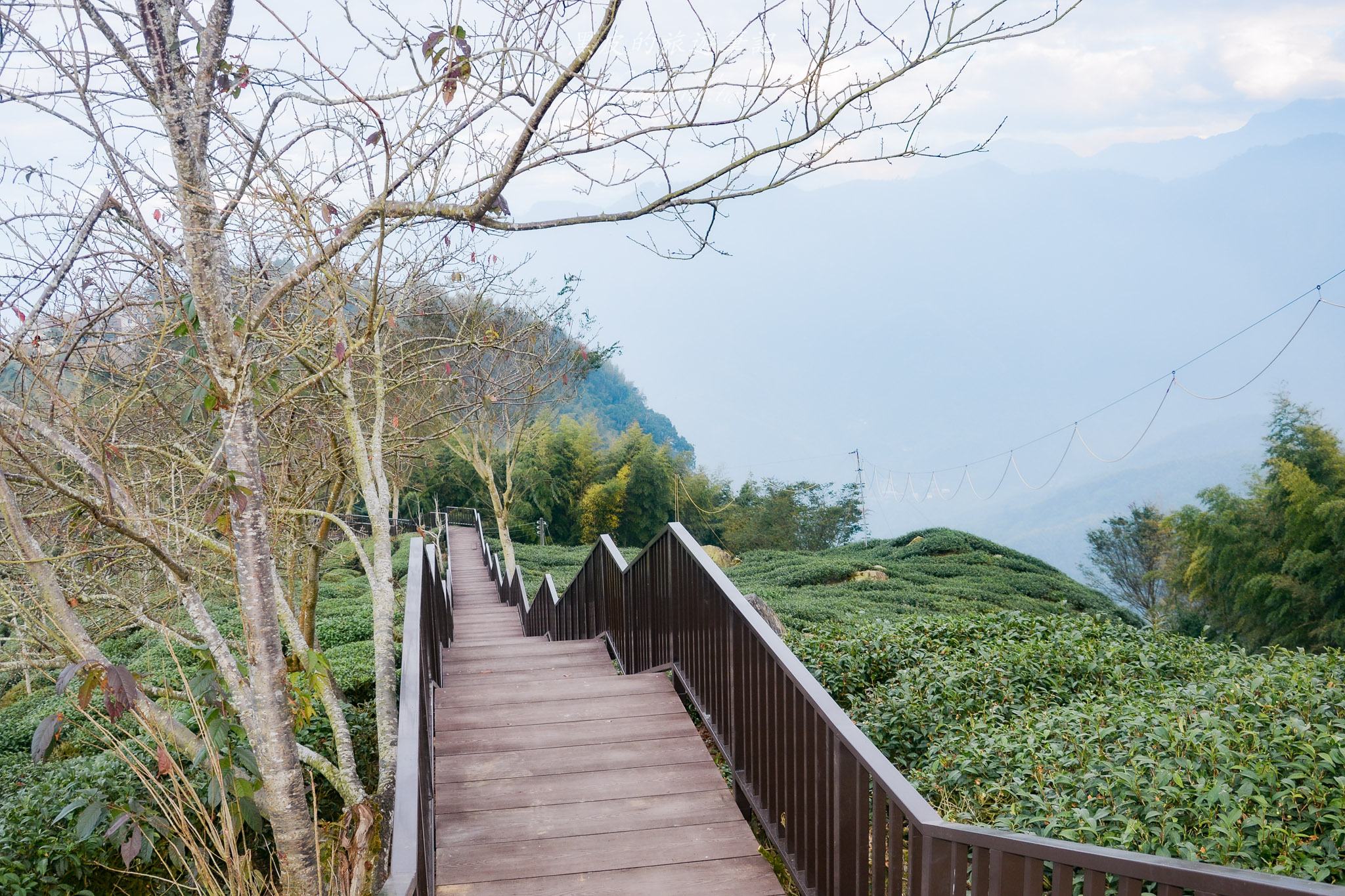 南投景點|竹山鹿谷一日遊,從田野玩到山林 69 南投景點|竹山鹿谷一日遊,從田野玩到山林