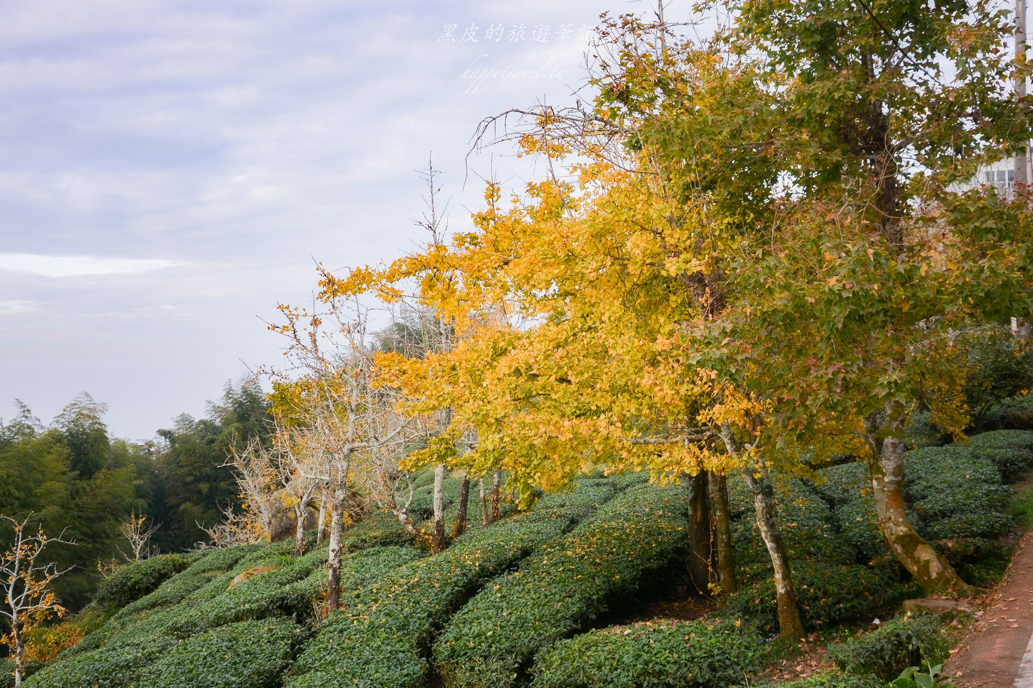 南投景點|竹山鹿谷一日遊,從田野玩到山林 71 南投景點|竹山鹿谷一日遊,從田野玩到山林