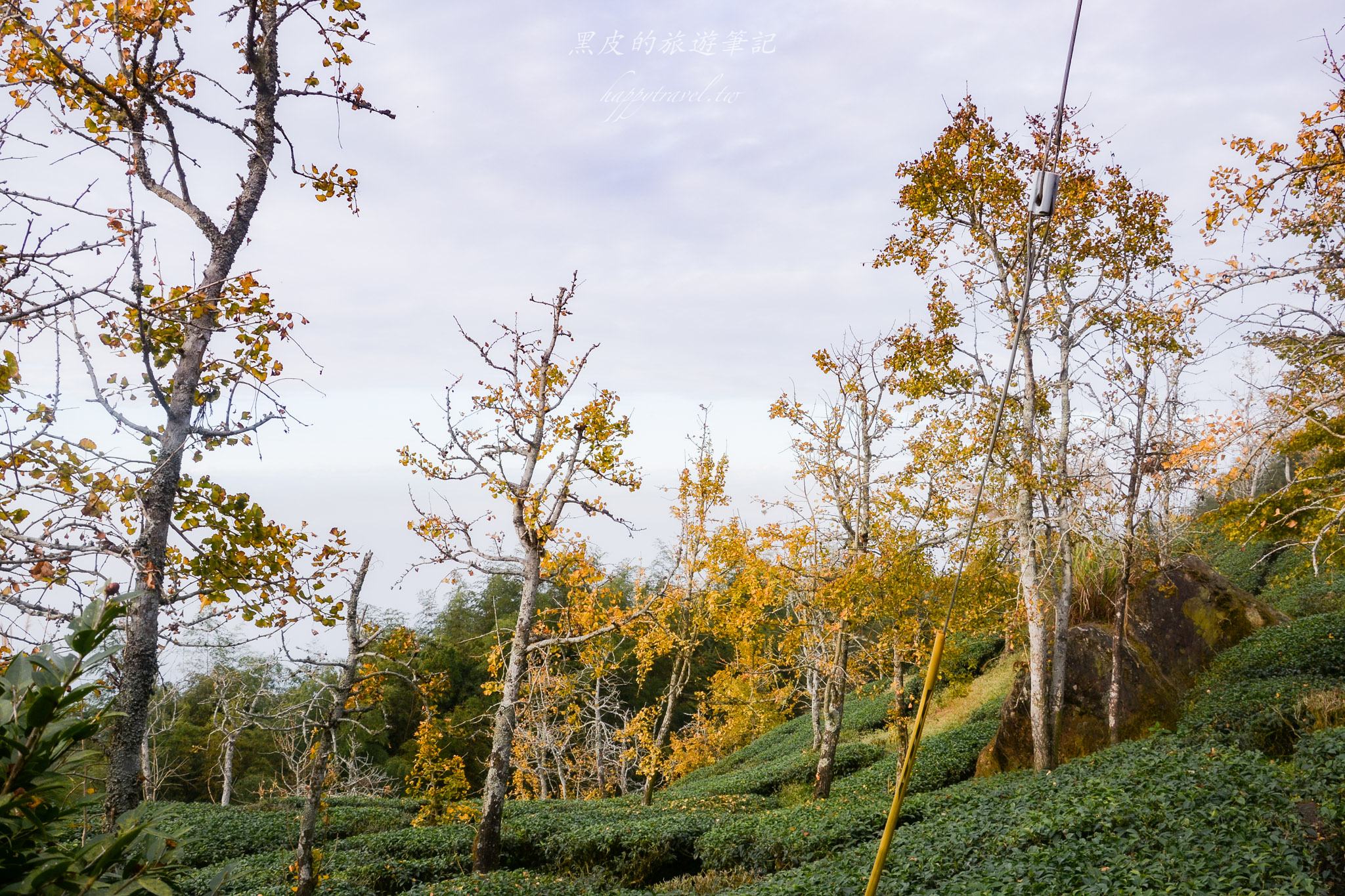 南投景點|竹山鹿谷一日遊,從田野玩到山林 72 南投景點|竹山鹿谷一日遊,從田野玩到山林