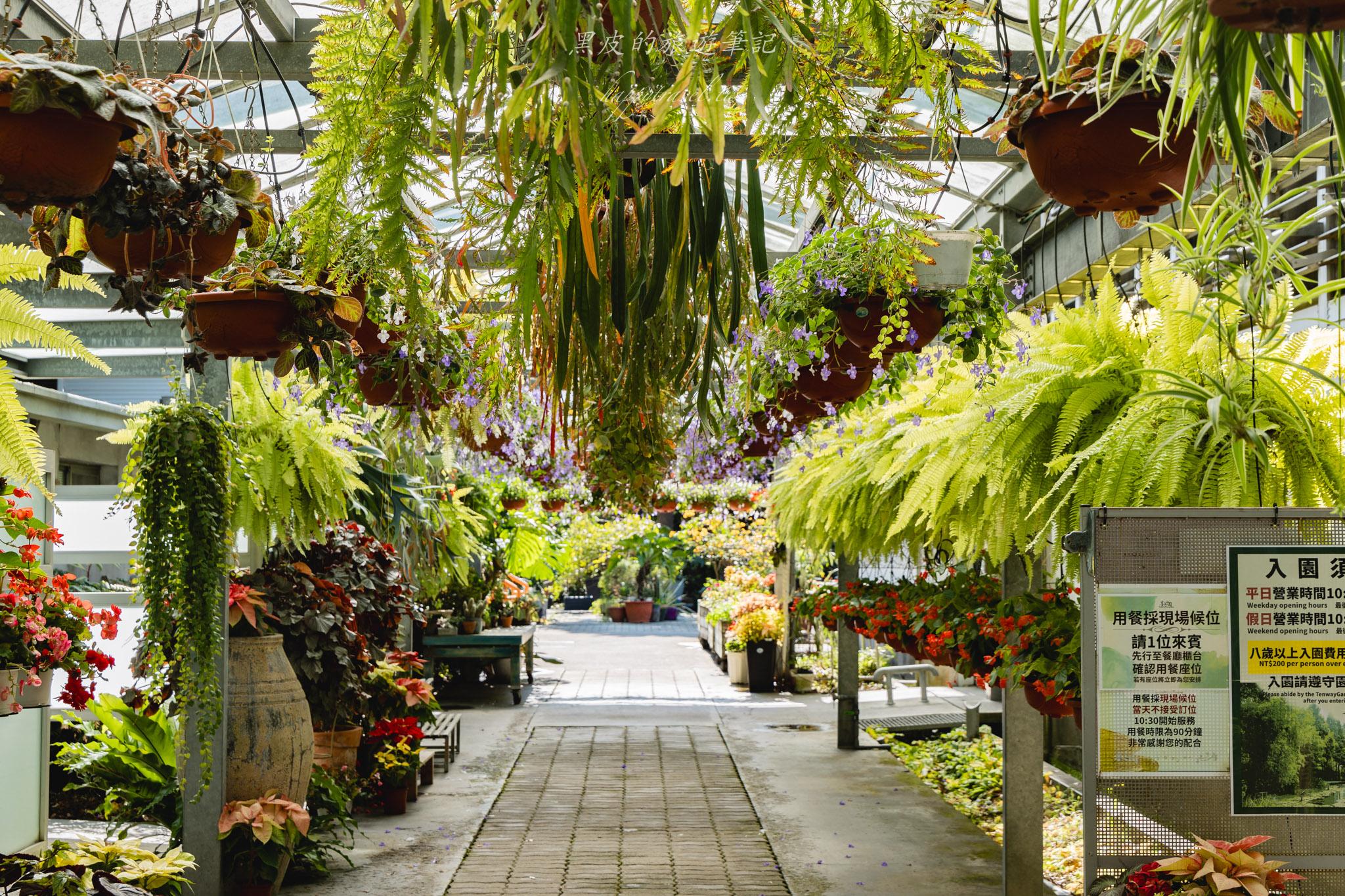 田尾菁芳園|走進菁芳園,一座被綠意與光影包圍的夢幻花園餐廳。彰化田尾景點推薦 29 田尾菁芳園