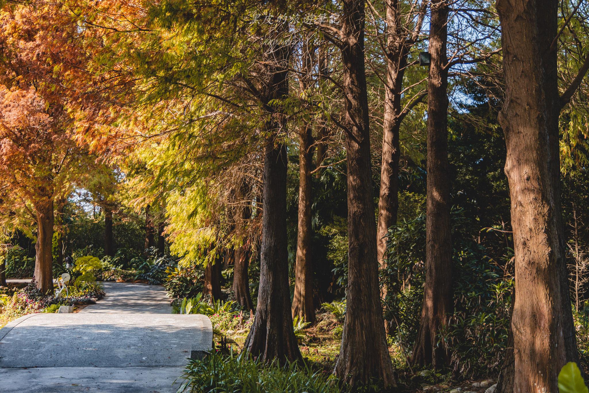 田尾菁芳園|走進菁芳園,一座被綠意與光影包圍的夢幻花園餐廳。彰化田尾景點推薦 48 田尾菁芳園