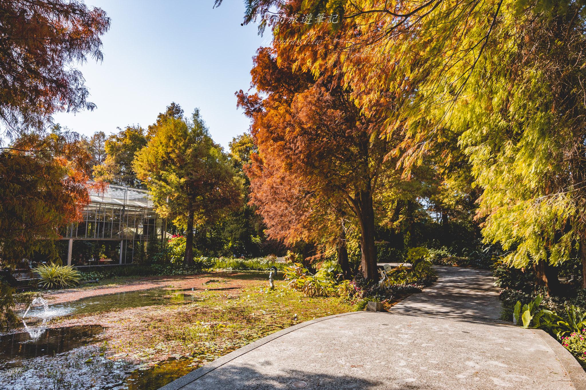 田尾菁芳園|走進菁芳園,一座被綠意與光影包圍的夢幻花園餐廳。彰化田尾景點推薦 28 田尾菁芳園
