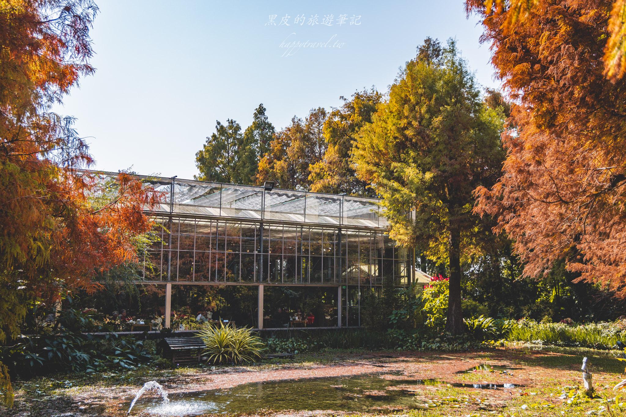 田尾菁芳園|走進菁芳園,一座被綠意與光影包圍的夢幻花園餐廳。彰化田尾景點推薦 38 田尾菁芳園