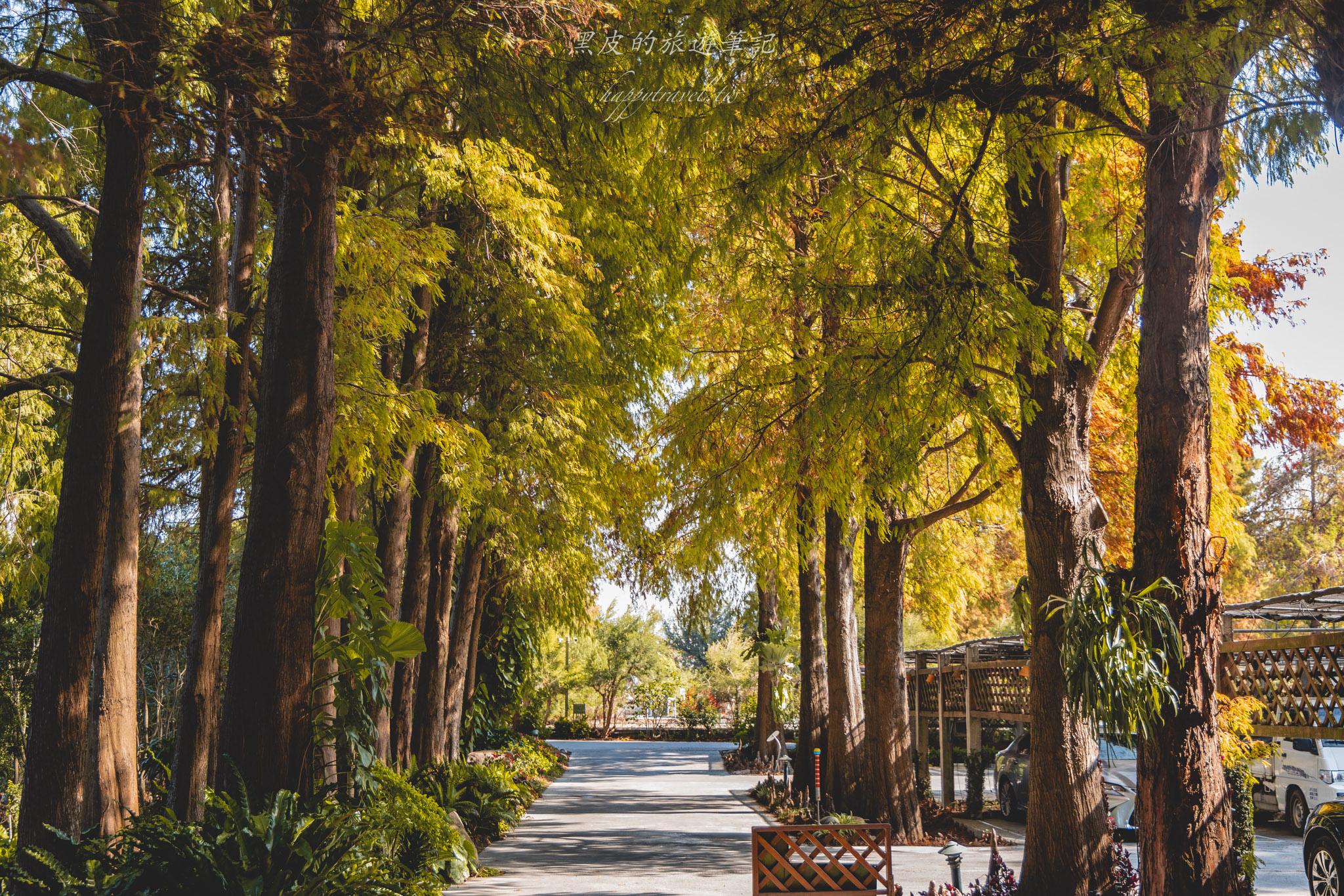 田尾菁芳園|走進菁芳園,一座被綠意與光影包圍的夢幻花園餐廳。彰化田尾景點推薦 27 田尾菁芳園