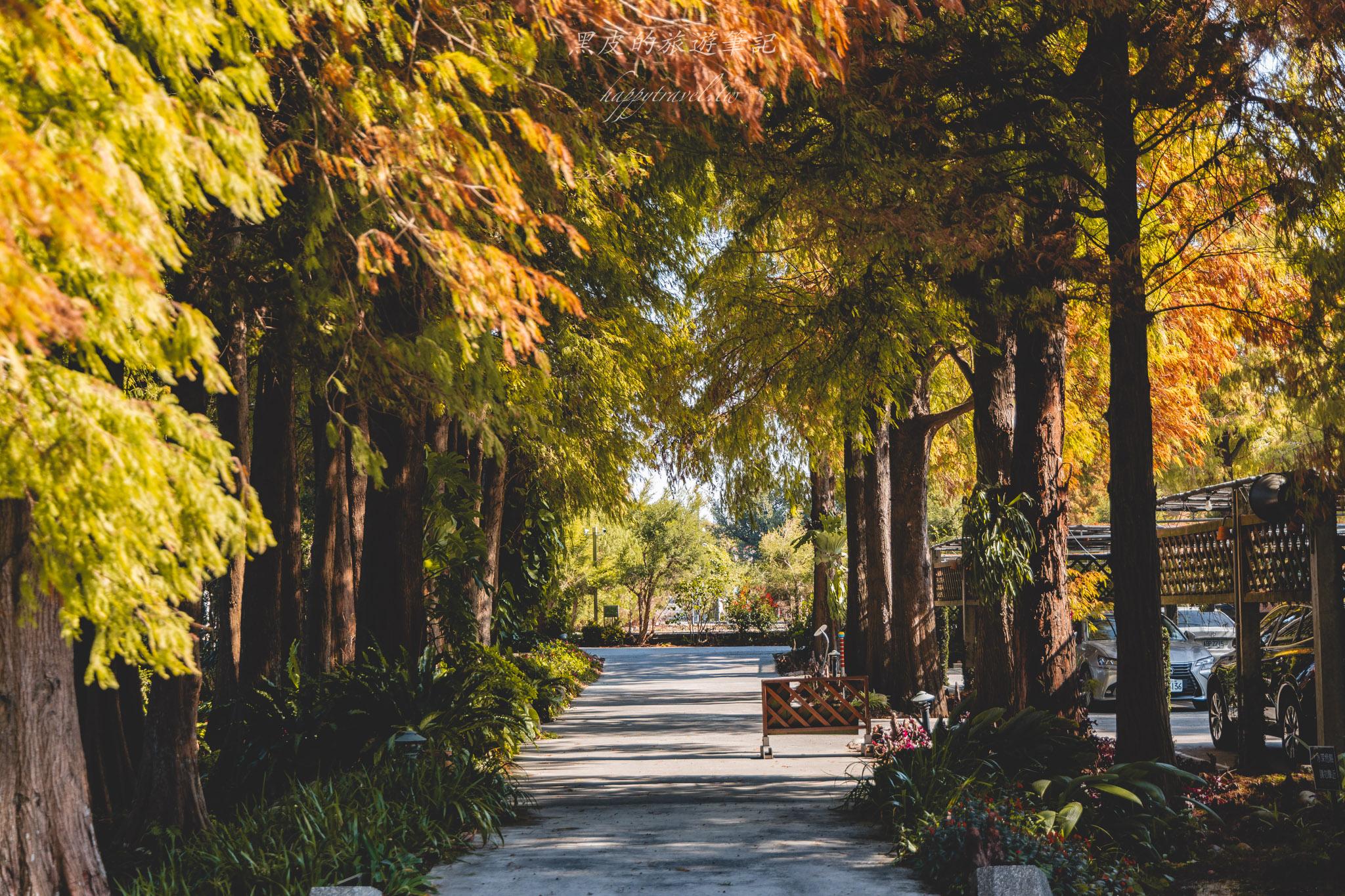 田尾菁芳園|走進菁芳園,一座被綠意與光影包圍的夢幻花園餐廳。彰化田尾景點推薦 25 田尾菁芳園