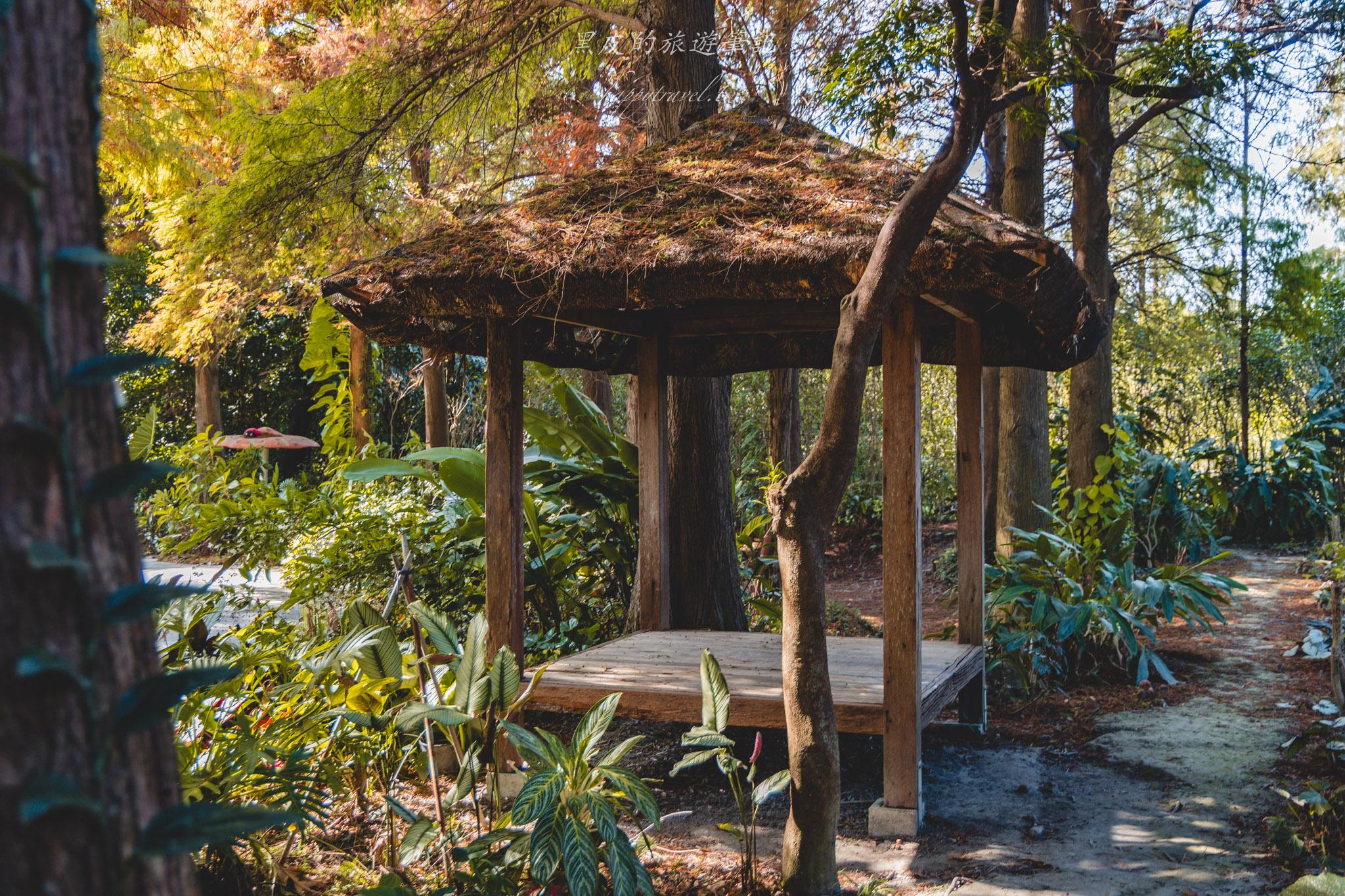 田尾菁芳園|走進菁芳園,一座被綠意與光影包圍的夢幻花園餐廳。彰化田尾景點推薦 34 田尾菁芳園