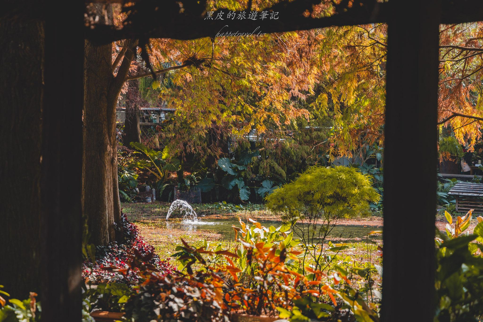 田尾菁芳園|走進菁芳園,一座被綠意與光影包圍的夢幻花園餐廳。彰化田尾景點推薦 32 田尾菁芳園