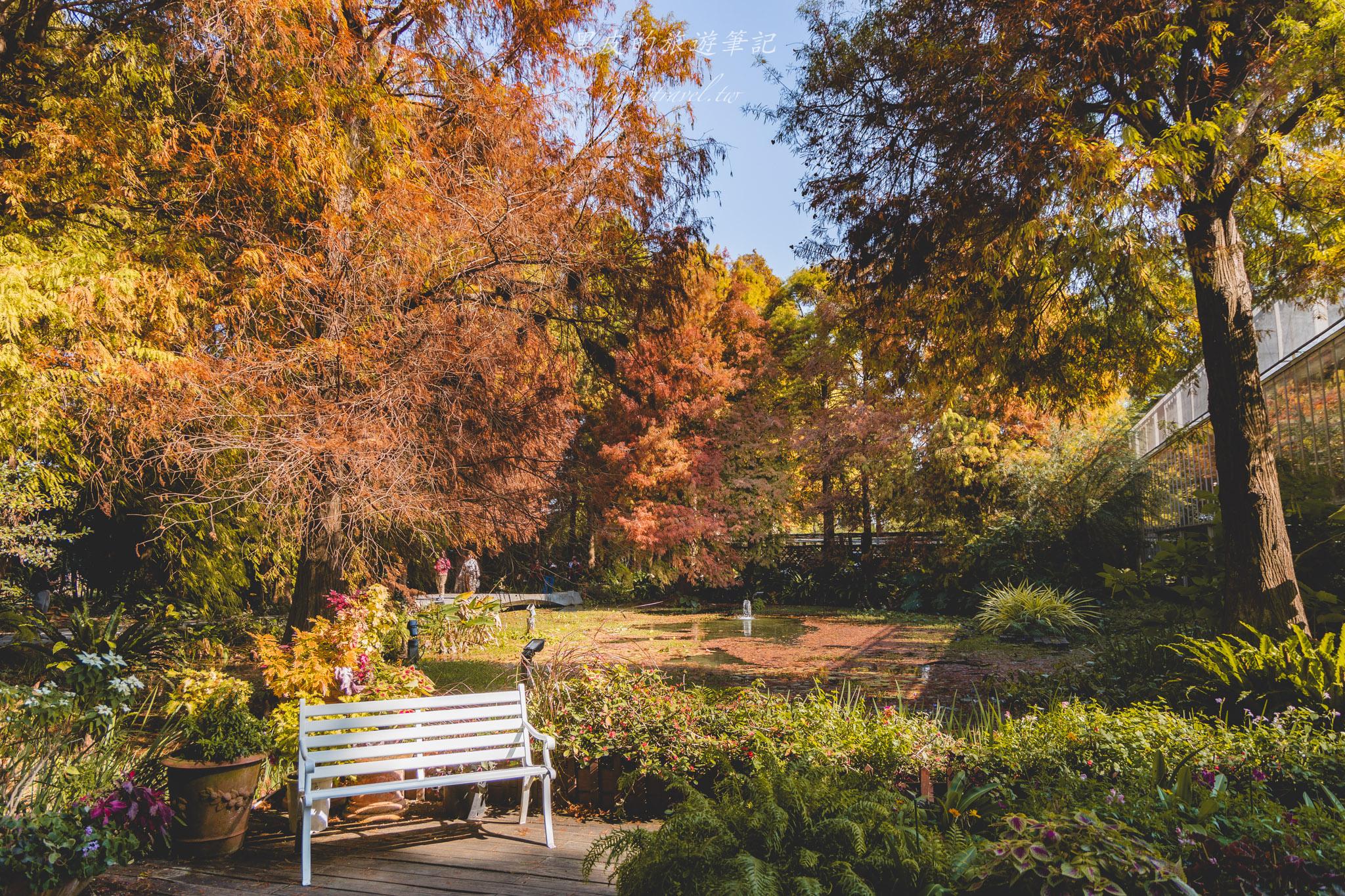 田尾菁芳園|走進菁芳園,一座被綠意與光影包圍的夢幻花園餐廳。彰化田尾景點推薦 33 田尾菁芳園