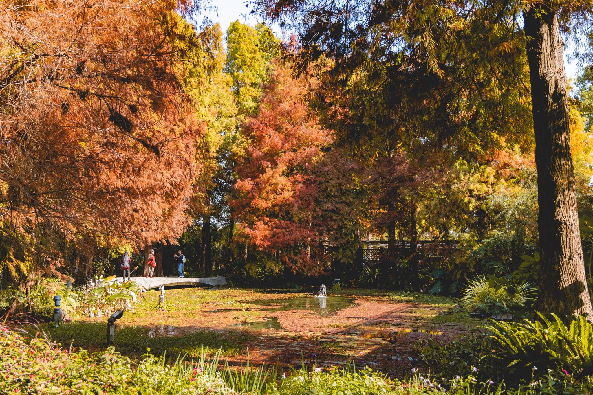 田尾菁芳園|走進菁芳園,一座被綠意與光影包圍的夢幻花園餐廳。彰化田尾景點推薦 36 田尾菁芳園