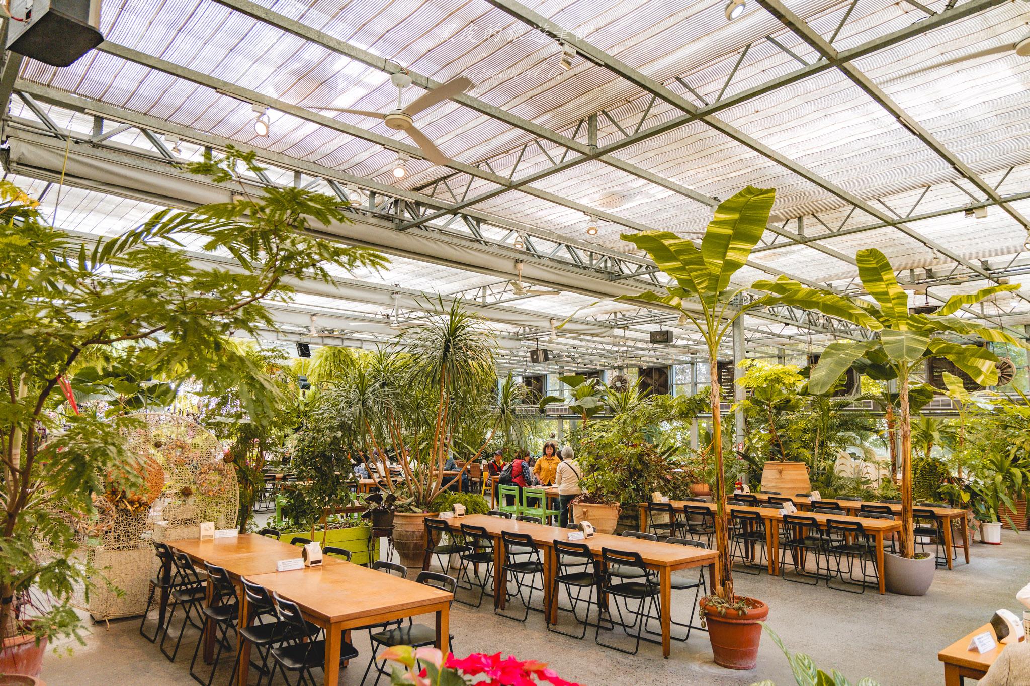 田尾菁芳園|走進菁芳園,一座被綠意與光影包圍的夢幻花園餐廳。彰化田尾景點推薦 39 田尾菁芳園