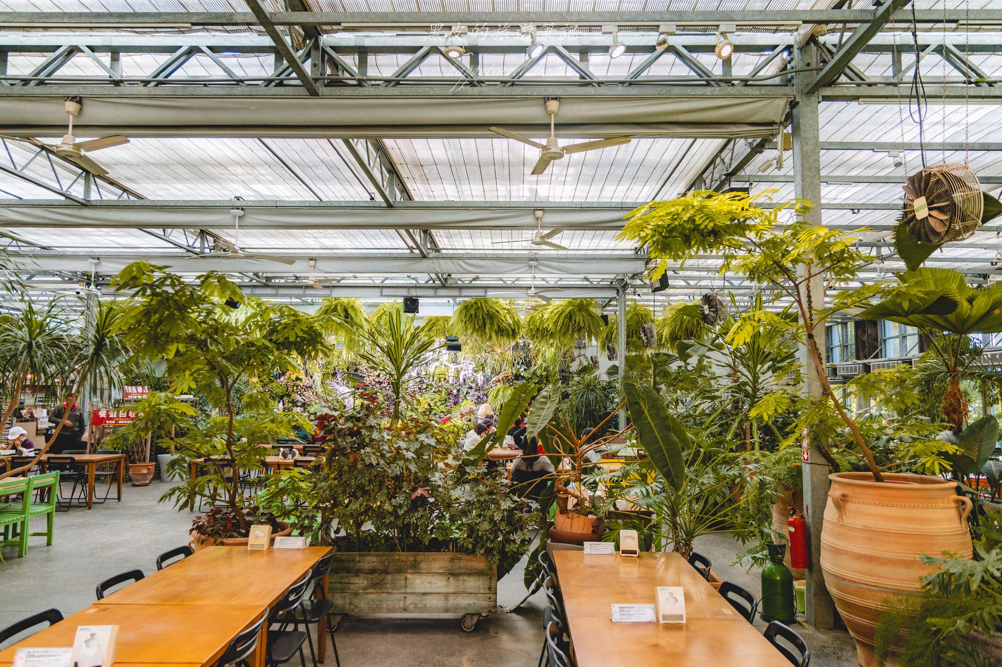 田尾菁芳園|走進菁芳園,一座被綠意與光影包圍的夢幻花園餐廳。彰化田尾景點推薦 40 田尾菁芳園