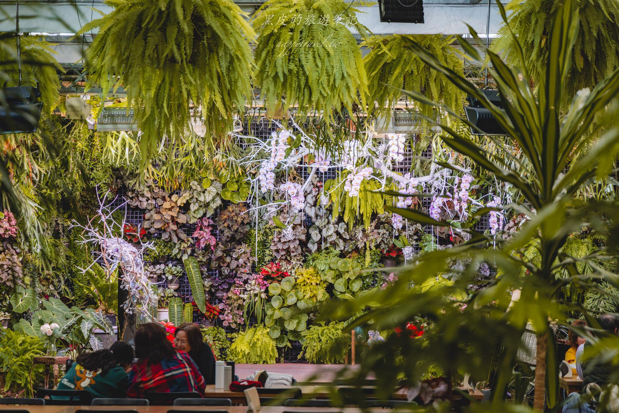田尾菁芳園|走進菁芳園,一座被綠意與光影包圍的夢幻花園餐廳。彰化田尾景點推薦 41 田尾菁芳園