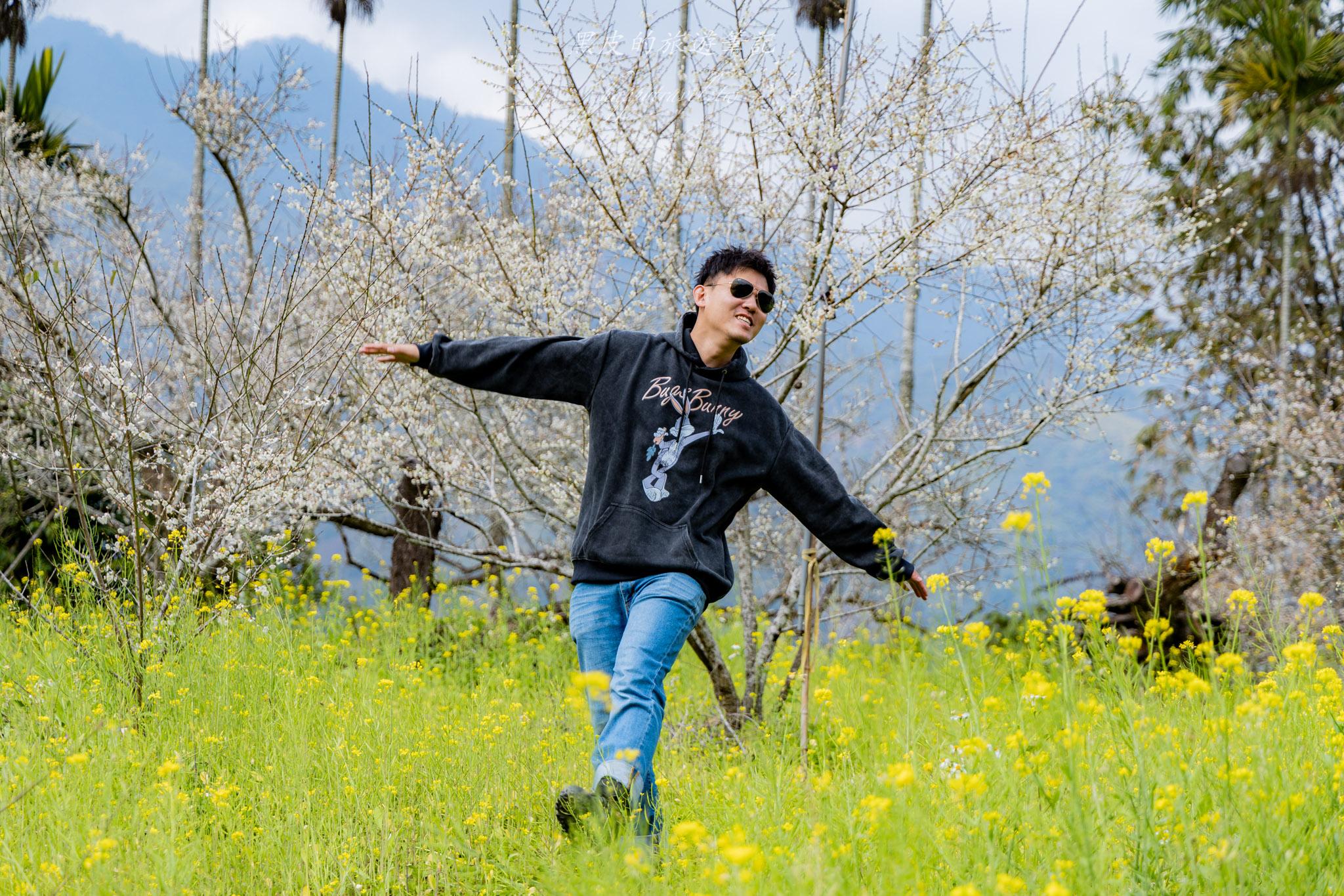 烏松崙森林渡假營【石家梅園】雪白梅花綻放啦!一起來踏雪尋梅 14 烏松崙森林渡假營(石家梅園)