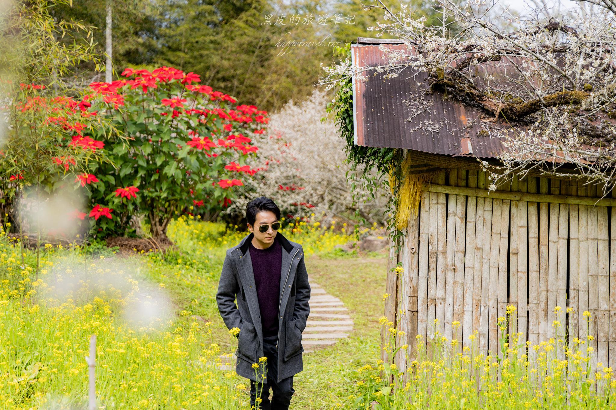 烏松崙森林渡假營【石家梅園】雪白梅花綻放啦!一起來踏雪尋梅 20 烏松崙森林渡假營(石家梅園)