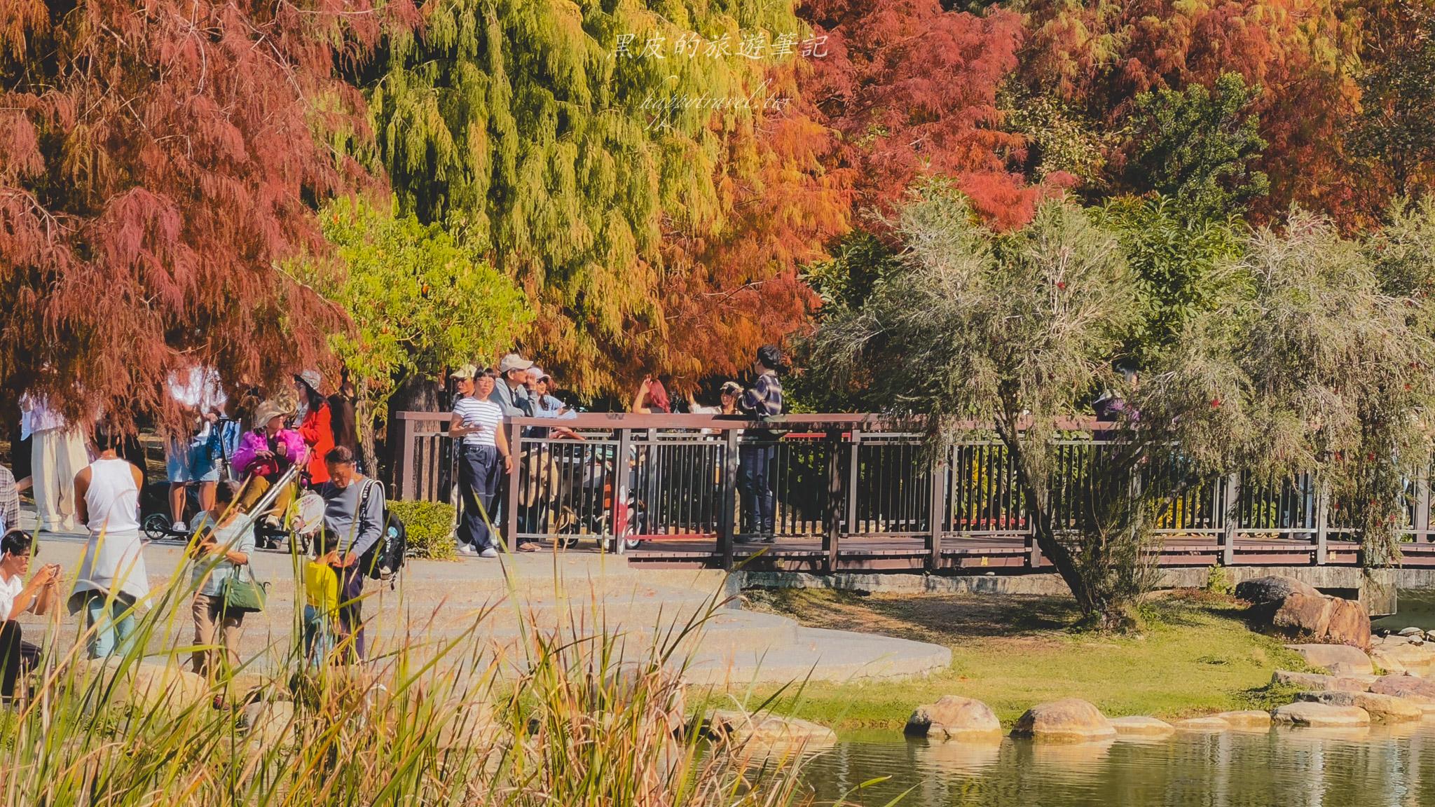 凹子底森林公園