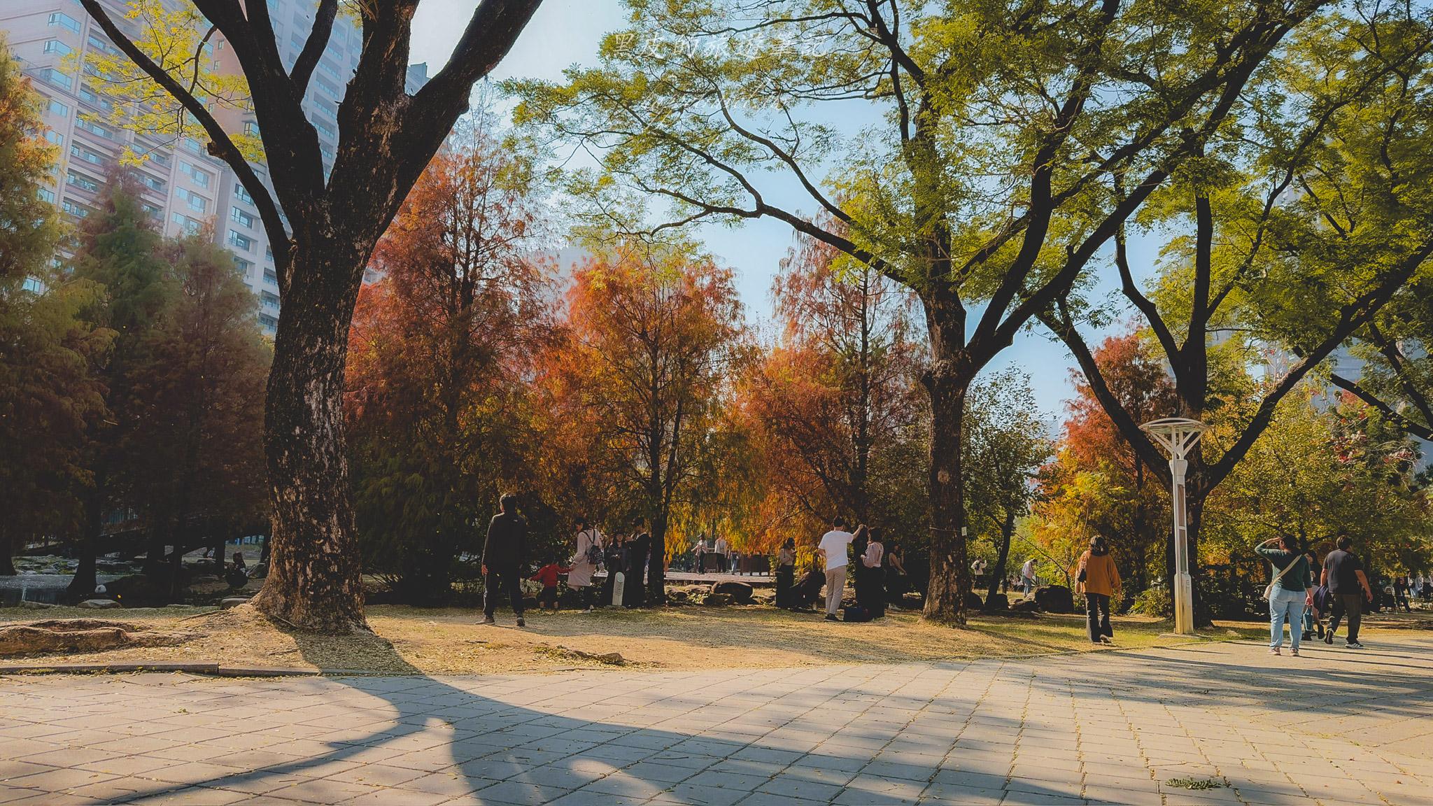 凹子底森林公園