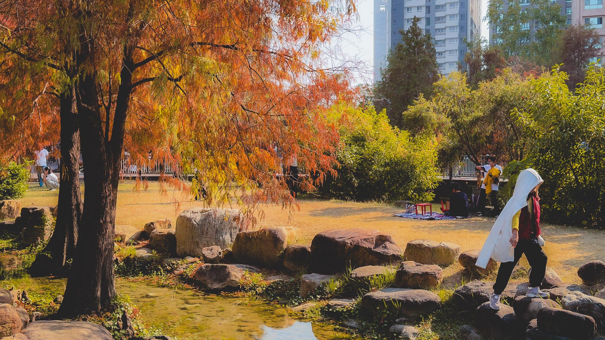 凹子底森林公園