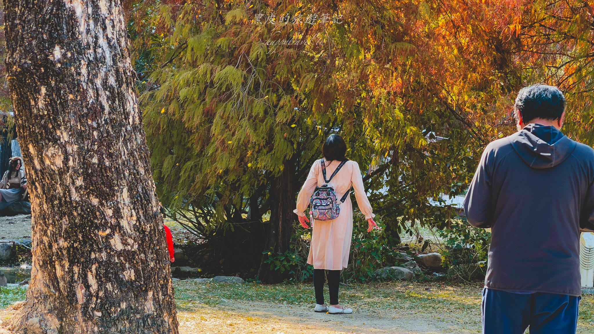 凹子底森林公園