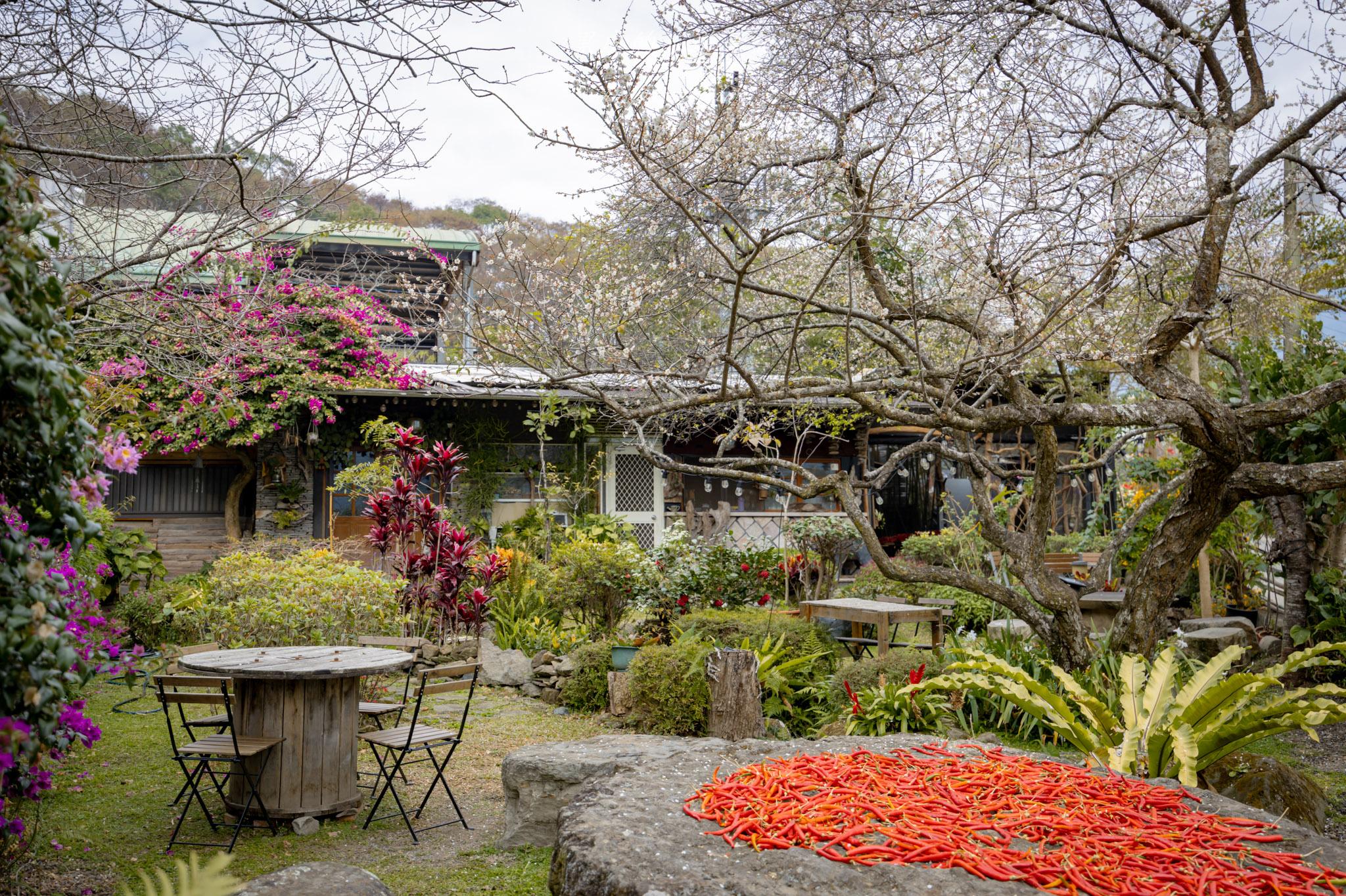 古迷思咖啡屋|走進梅花季的部落日常,與自然共生的原始咖啡屋。南投信義秘境咖啡 古迷思咖啡屋|走進梅花季的部落日常,與自然共生的原始咖啡屋。南投信義秘境咖啡