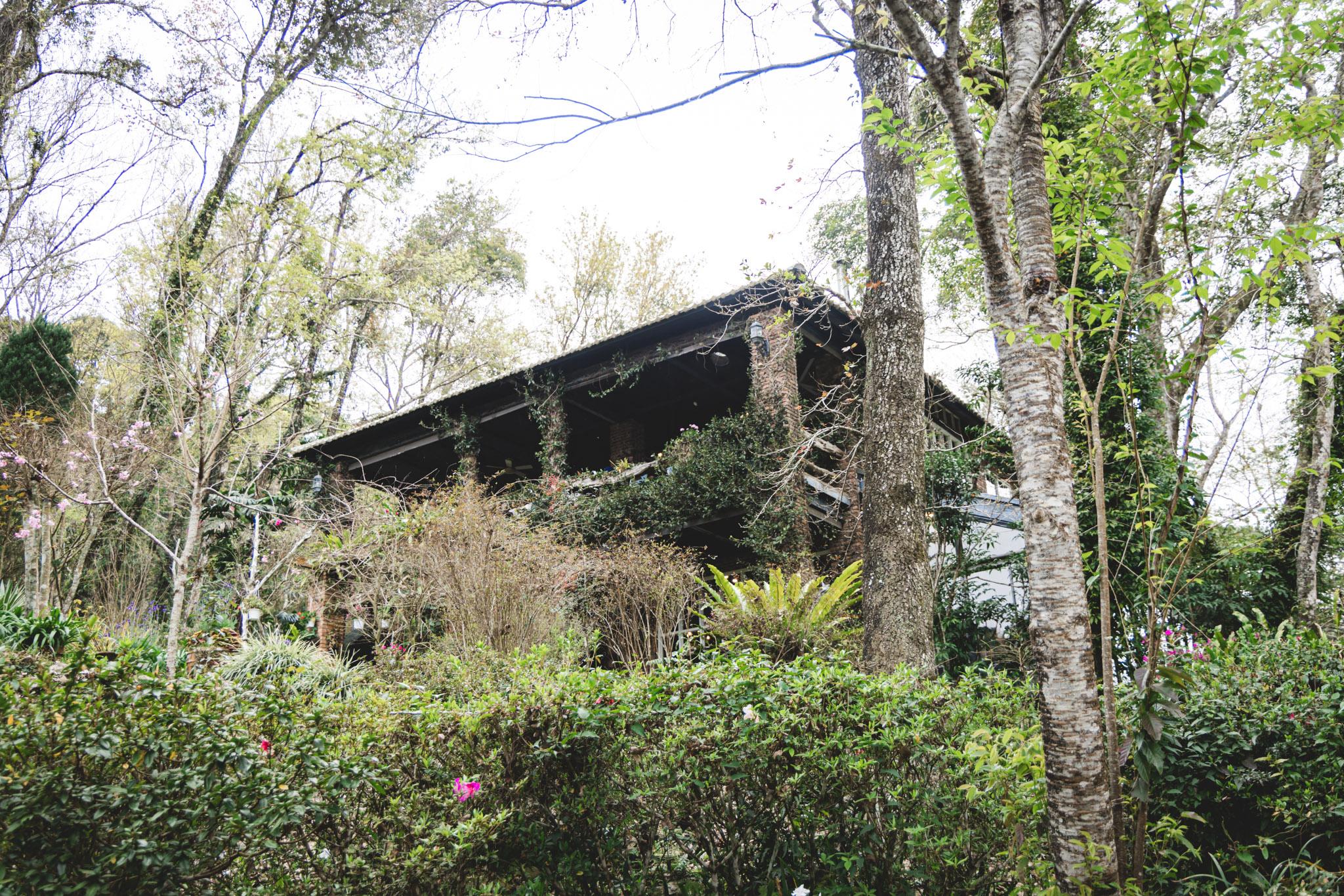 拉號花園咖啡廳 (原6號花園)|藏身在森林中的紅磚玻璃屋咖啡廳。新竹咖啡廳推薦 43 拉號花園