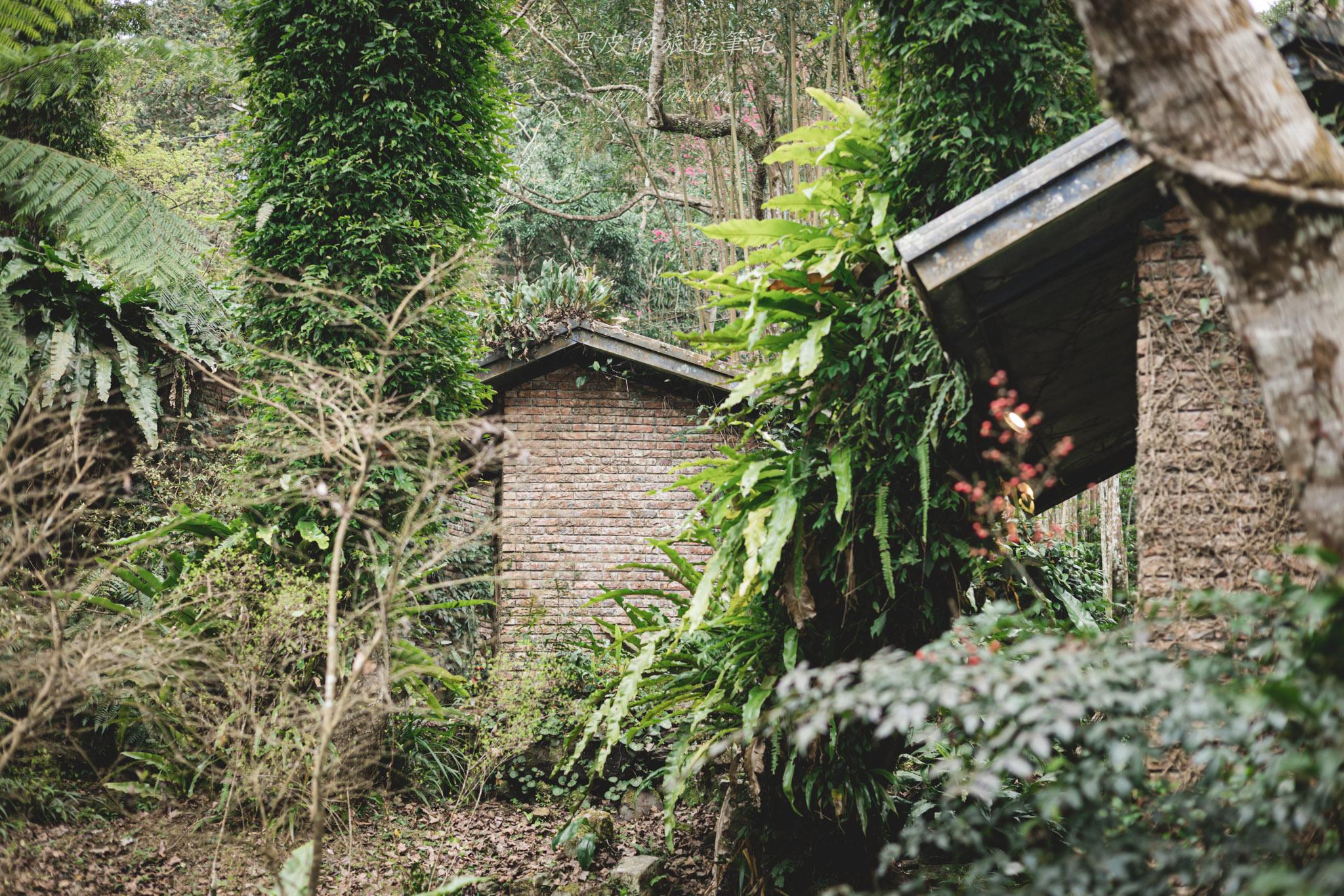 拉號花園咖啡廳 (原6號花園)|藏身在森林中的紅磚玻璃屋咖啡廳。新竹咖啡廳推薦 67 拉號花園