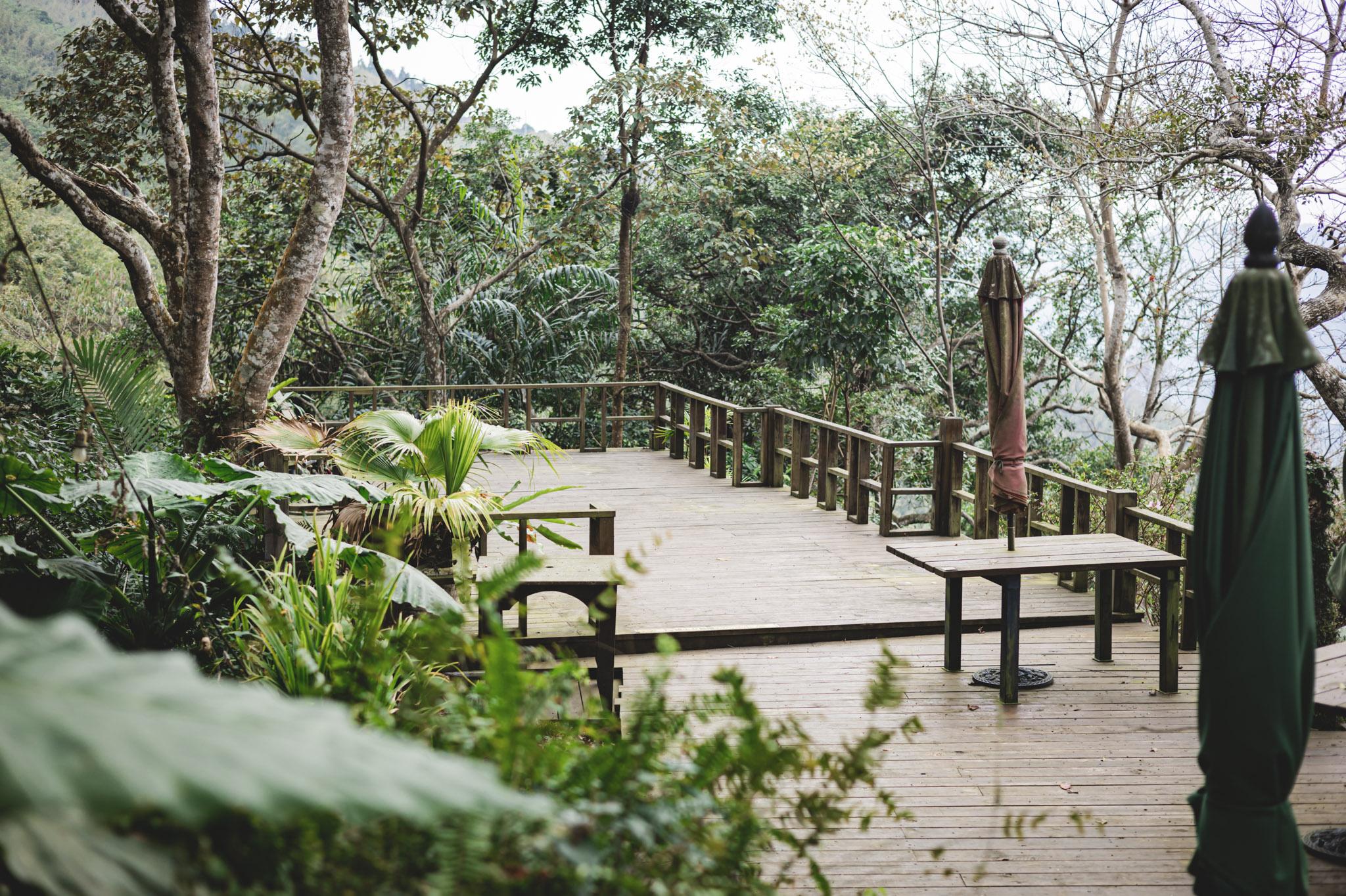 拉號花園咖啡廳 (原6號花園)|藏身在森林中的紅磚玻璃屋咖啡廳。新竹咖啡廳推薦 64 拉號花園