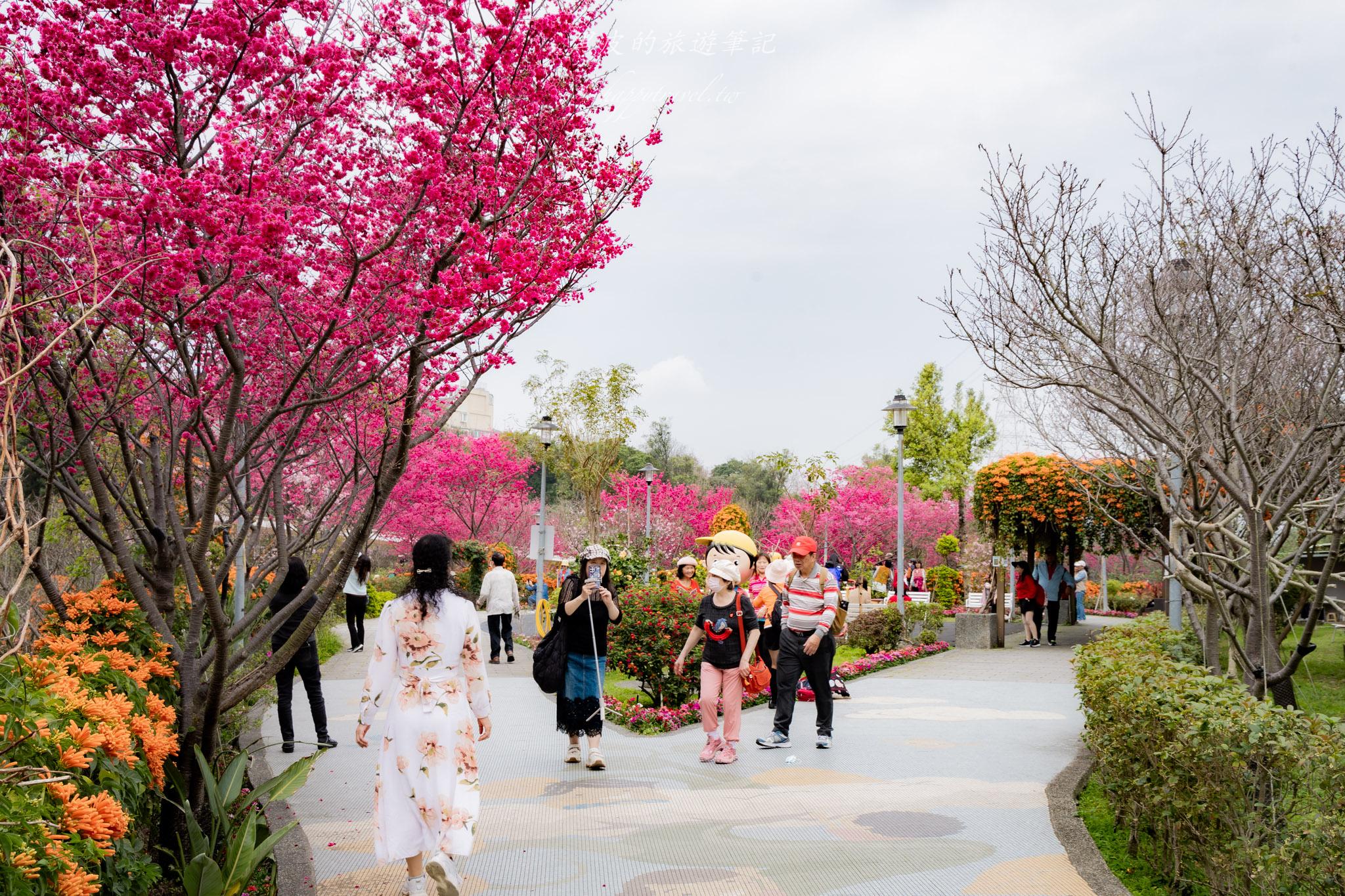 鶯歌永吉公園|融合炮仗花與櫻花春色步道,一次搜集雙色調的公園 22 鶯歌永吉公園