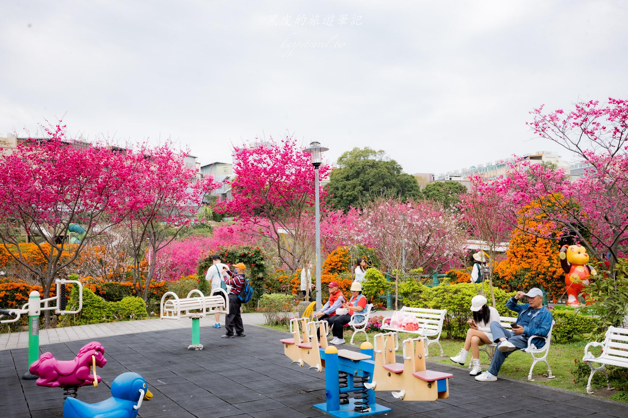 鶯歌永吉公園|融合炮仗花與櫻花春色步道,一次搜集雙色調的公園 26 鶯歌永吉公園