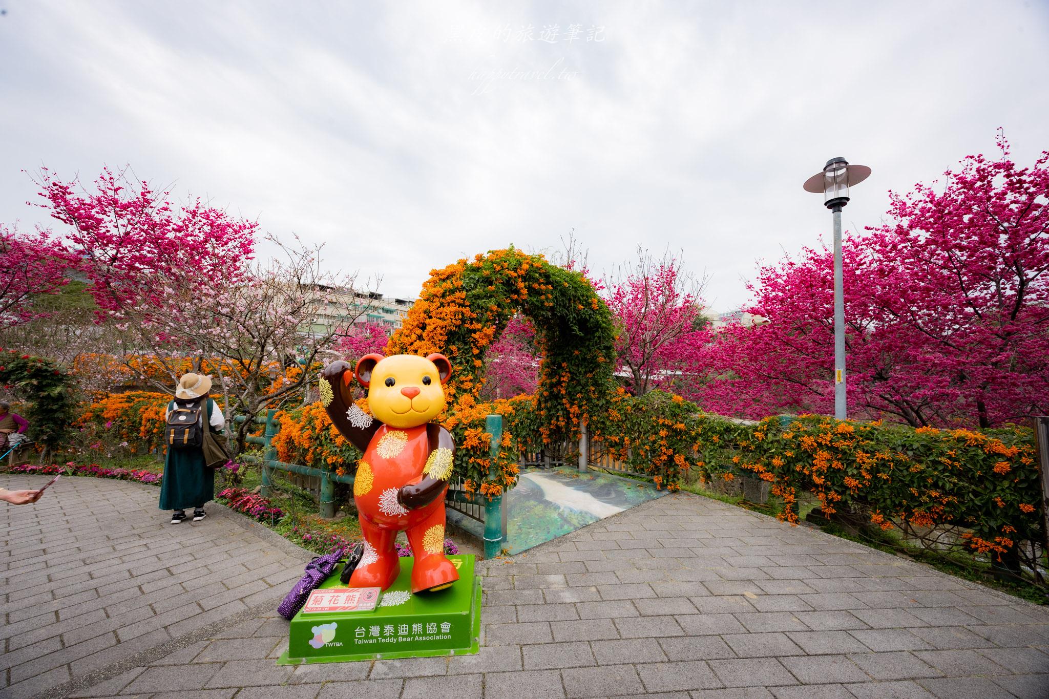 鶯歌永吉公園|融合炮仗花與櫻花春色步道,一次搜集雙色調的公園 27 鶯歌永吉公園