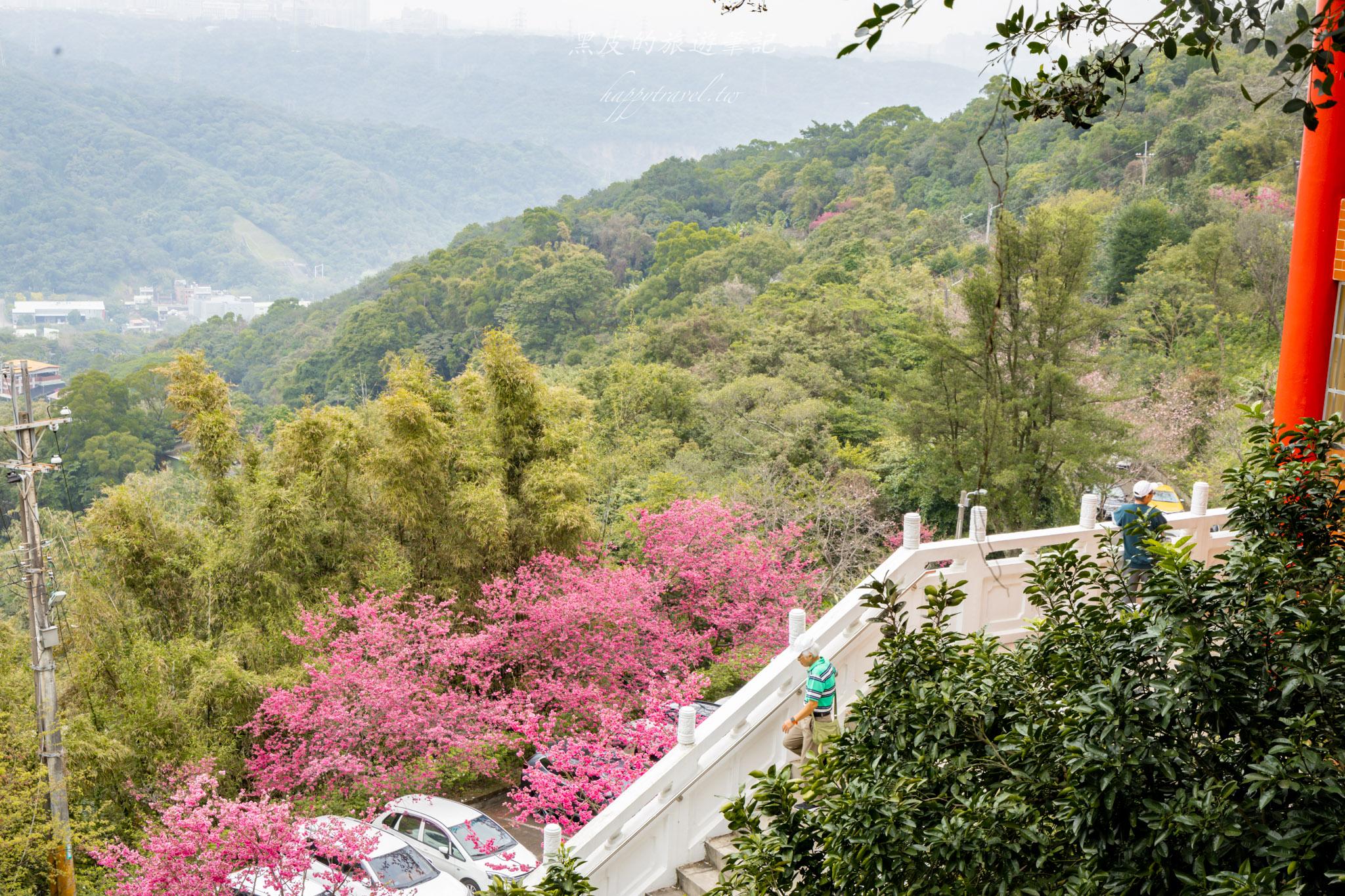 八德元德寶宮|與廟宇相互融合的櫻花秘境 25 八德元德寶宮