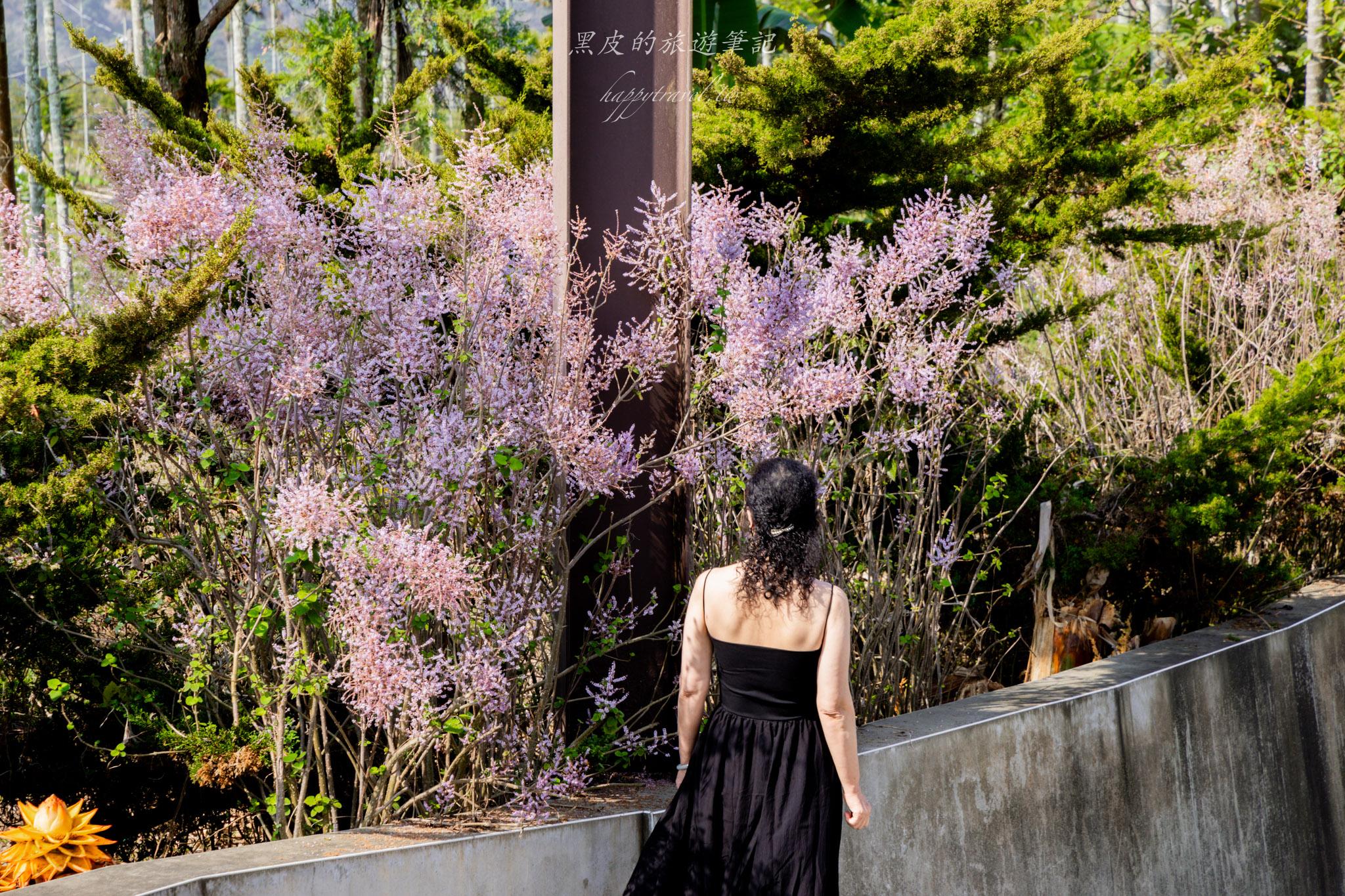 瑞里王鼎茶園民宿