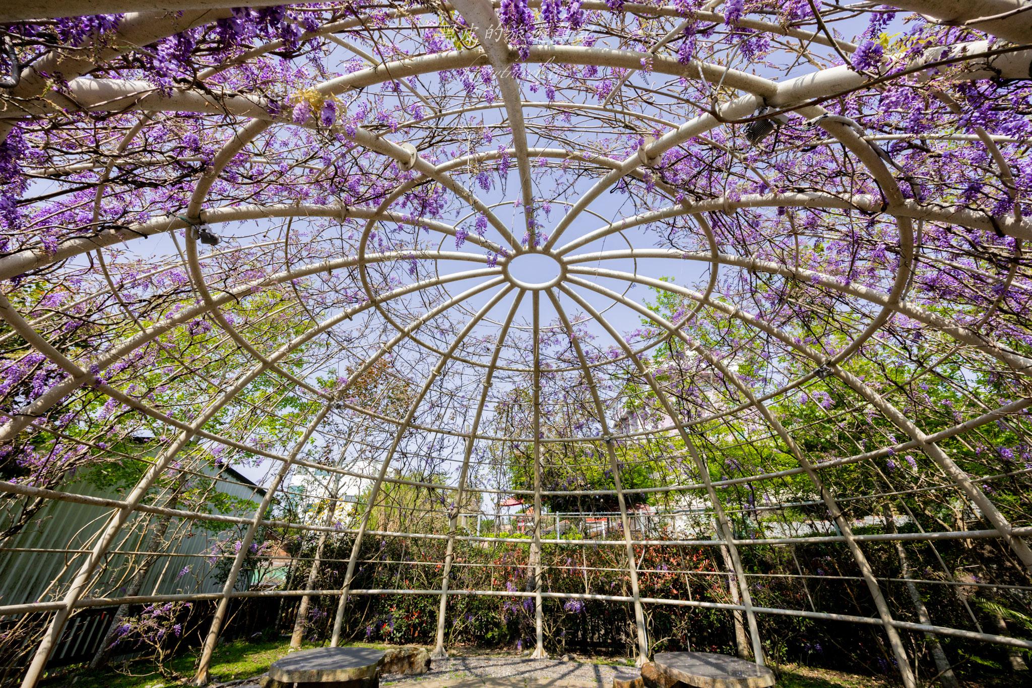 瑞里王鼎茶園民宿