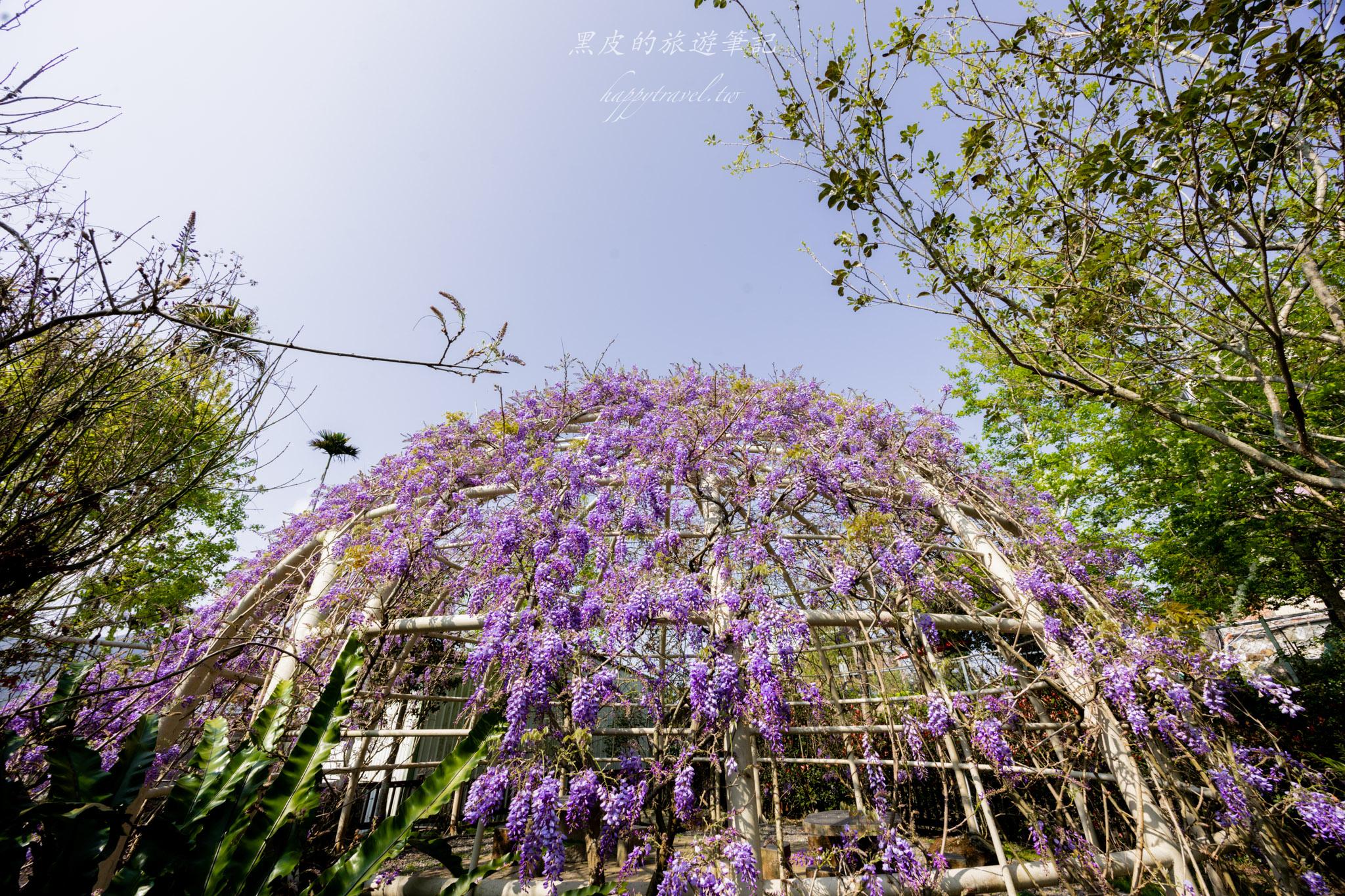 瑞里王鼎茶園民宿