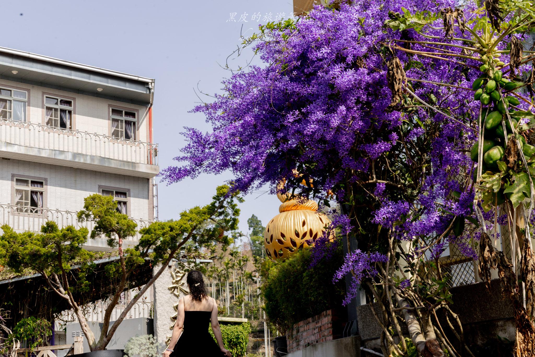 瑞里王鼎茶園民宿