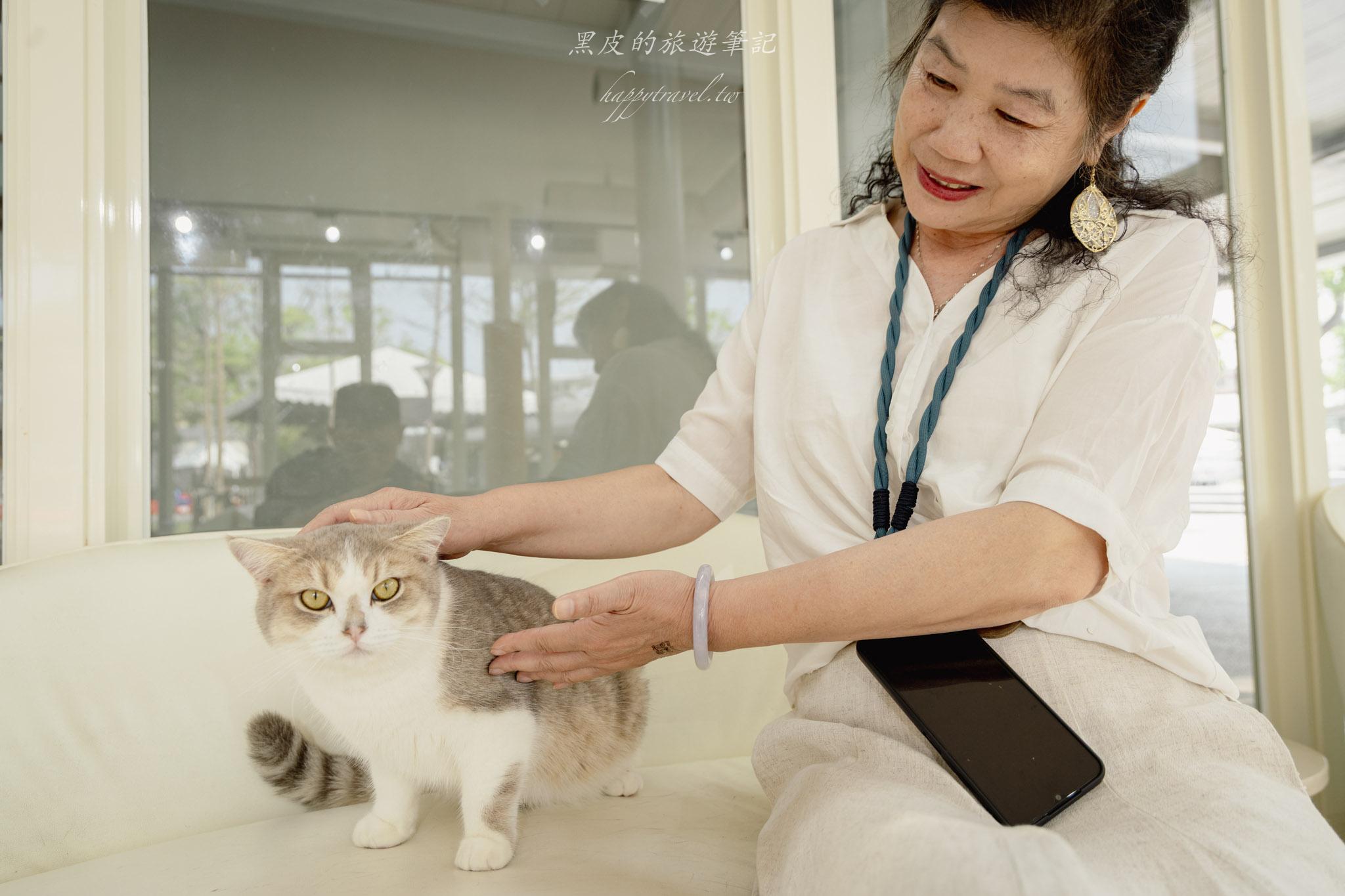 苗栗火車頭園區|全新鐵道迷景點,還有免費的貓咪療癒互動空間|苗栗親子景點 62 苗栗景點