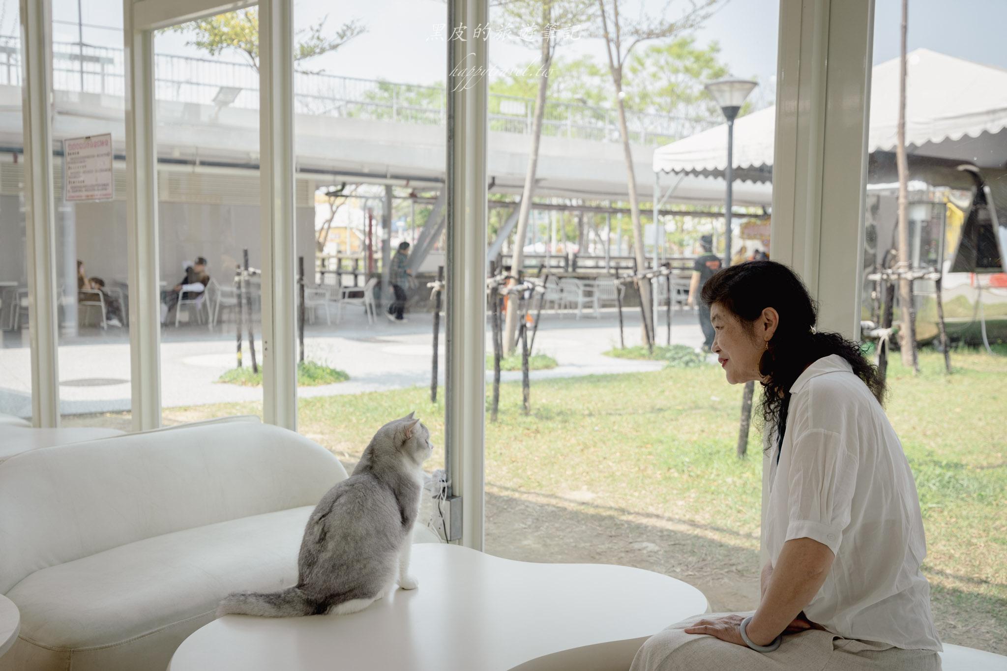 苗栗火車頭園區|全新鐵道迷景點,還有免費的貓咪療癒互動空間|苗栗親子景點 43 苗栗火車頭園區