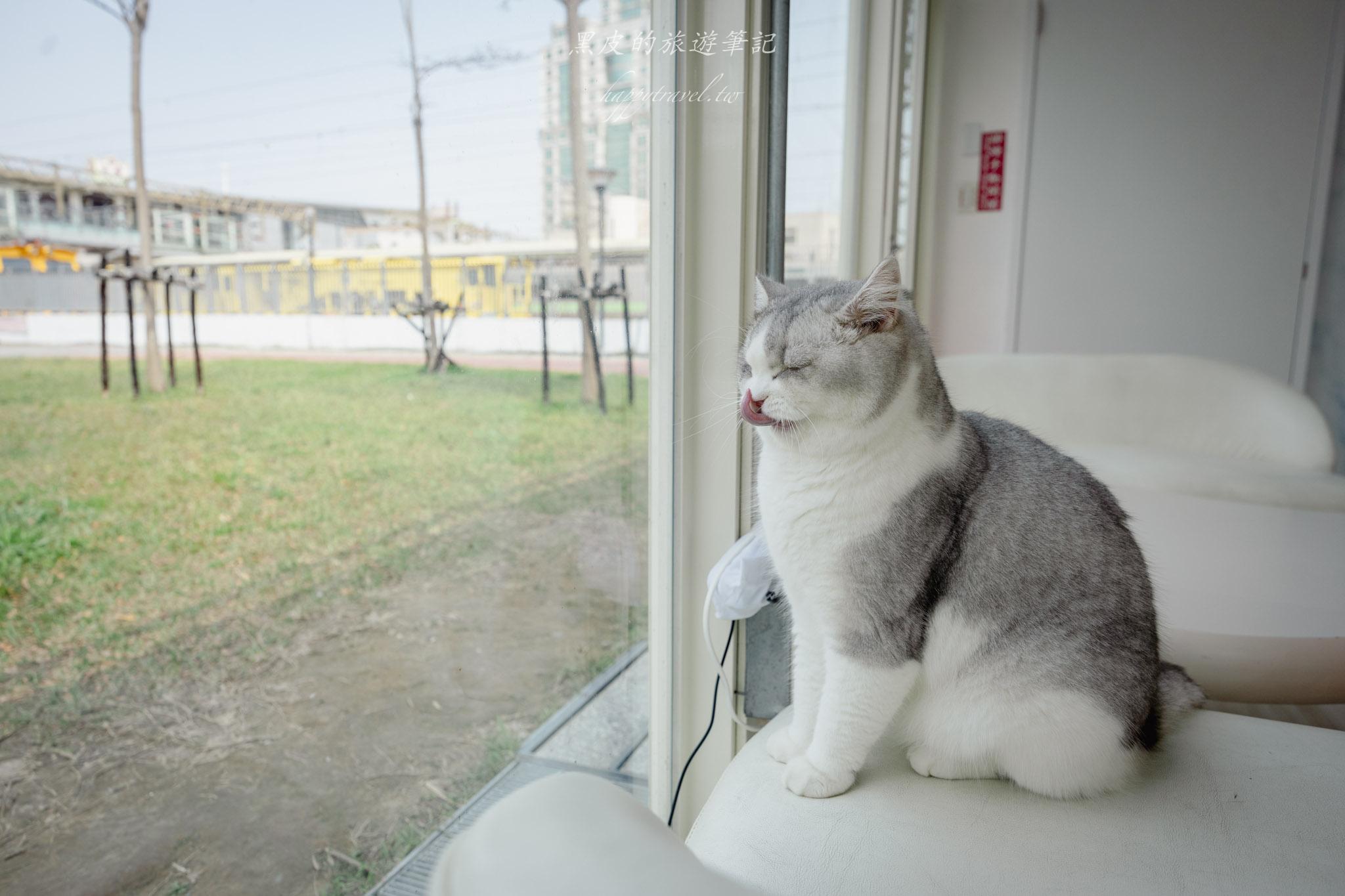 苗栗火車頭園區|全新鐵道迷景點,還有免費的貓咪療癒互動空間|苗栗親子景點 61 苗栗景點