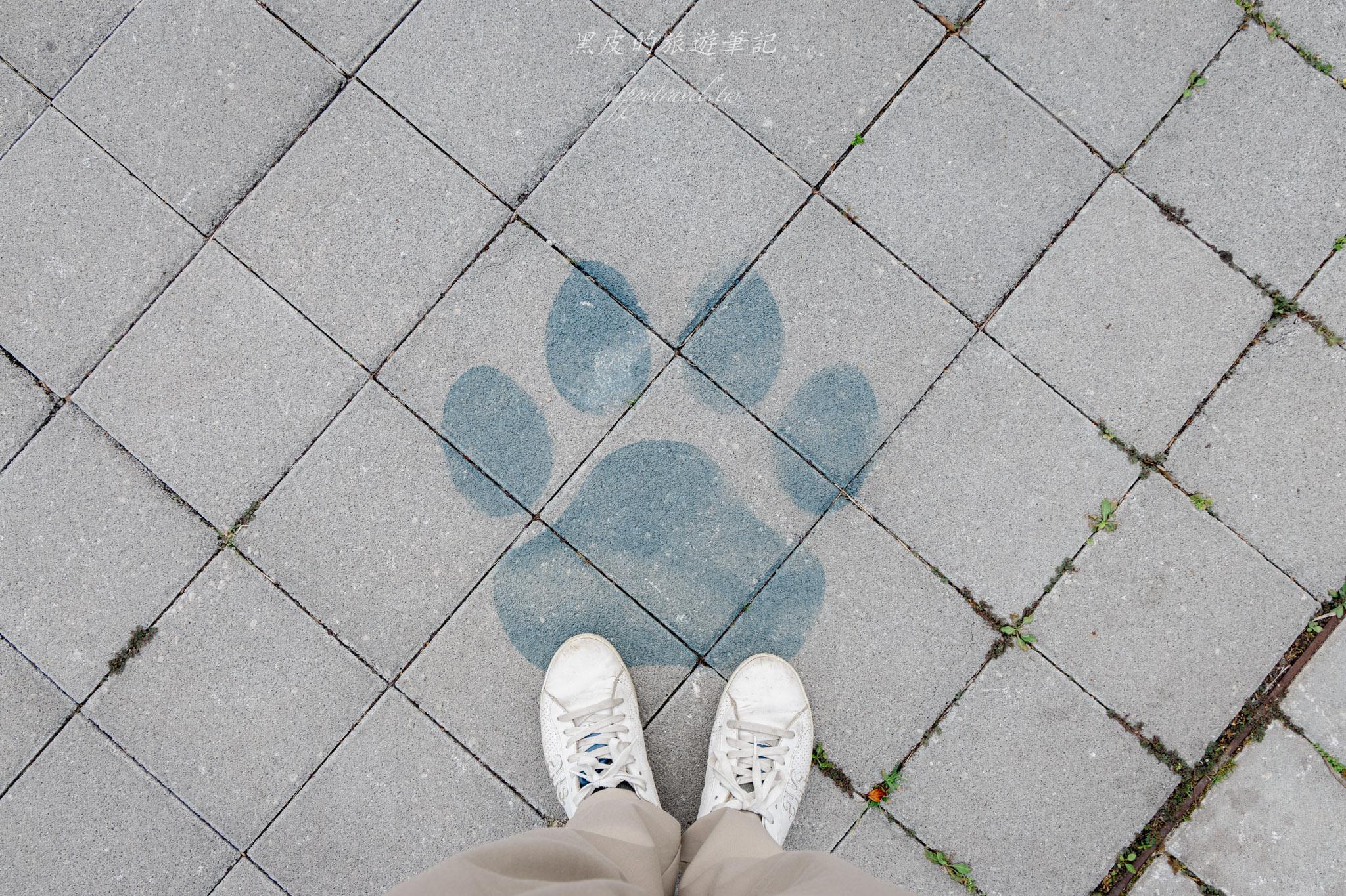 苗栗火車頭園區|全新鐵道迷景點,還有免費的貓咪療癒互動空間|苗栗親子景點 72 苗栗親子景點