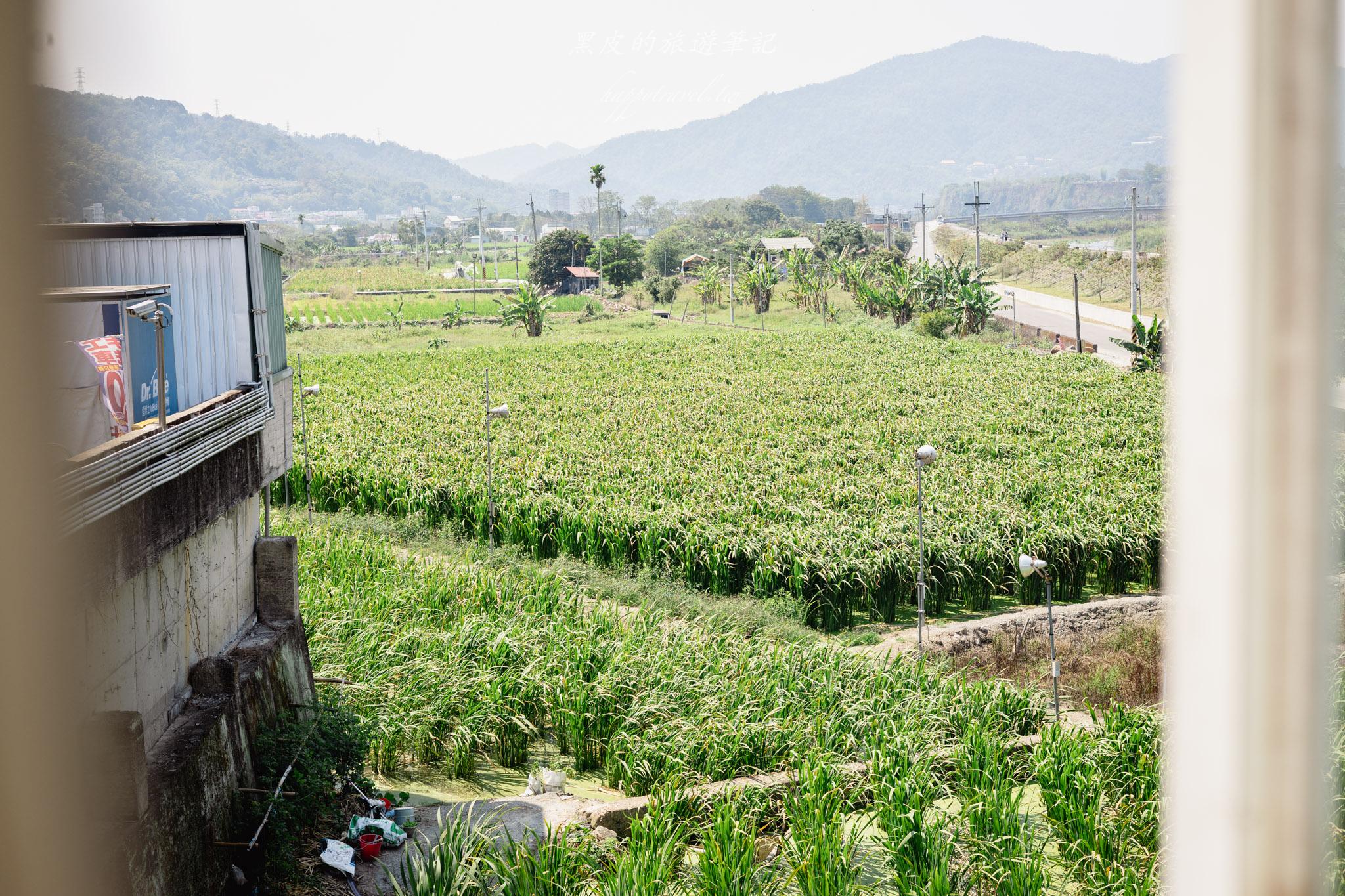 維美紹興滷味冰品WeNice