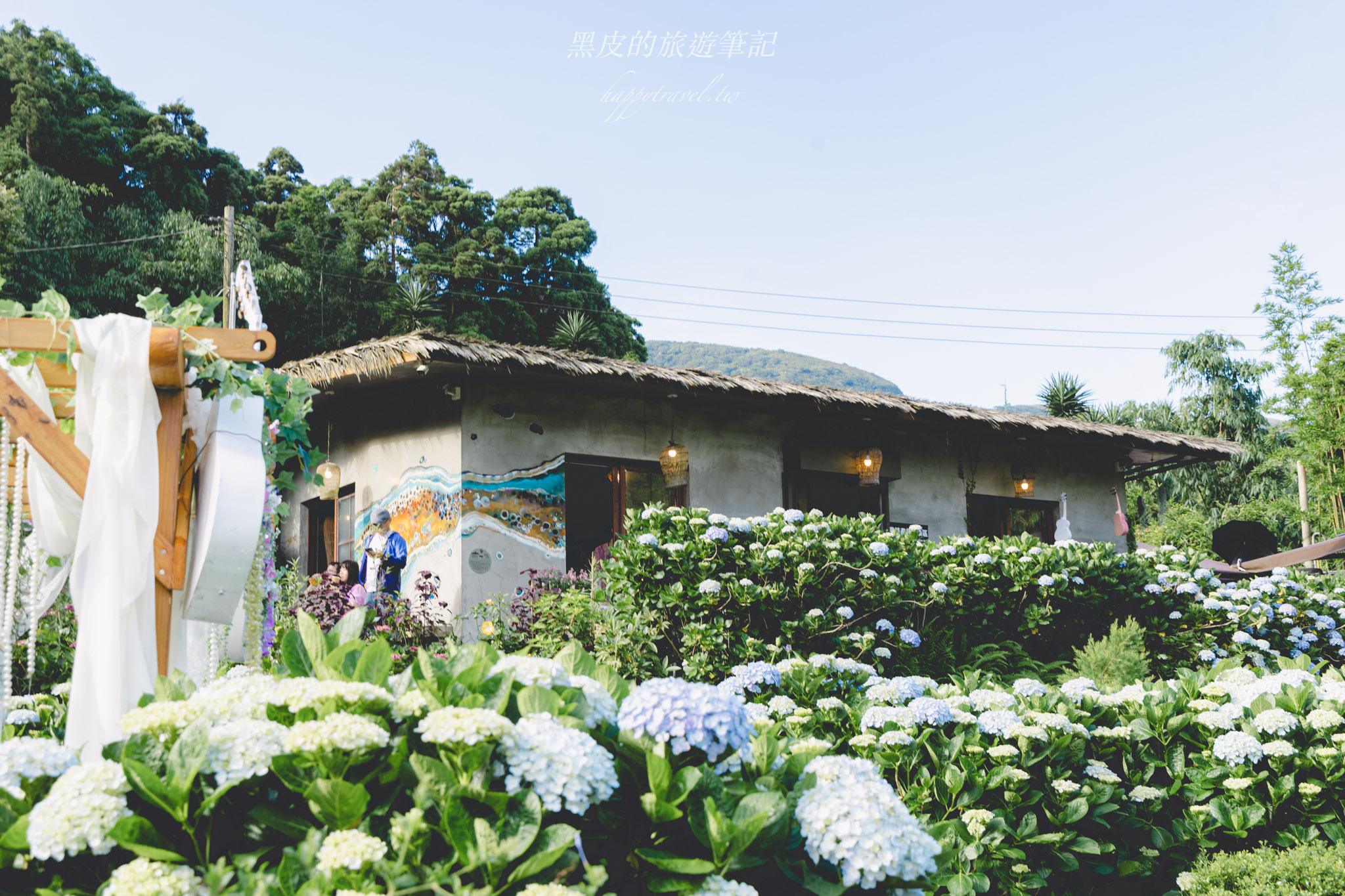 陽明山繡球花
