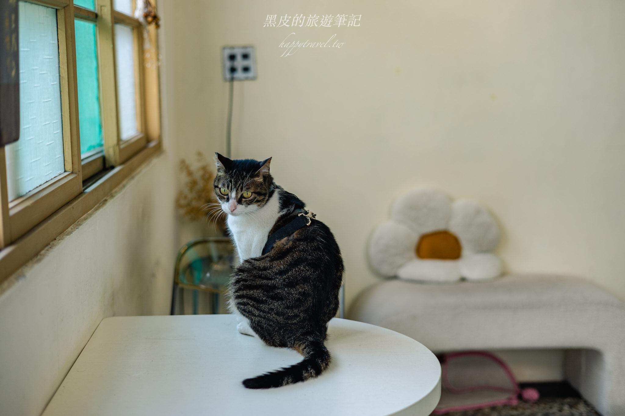 大手咖啡 Da Sho Coffee|藏在老城日常裡的老宅午後。鹿港咖啡廳 35 大手咖啡