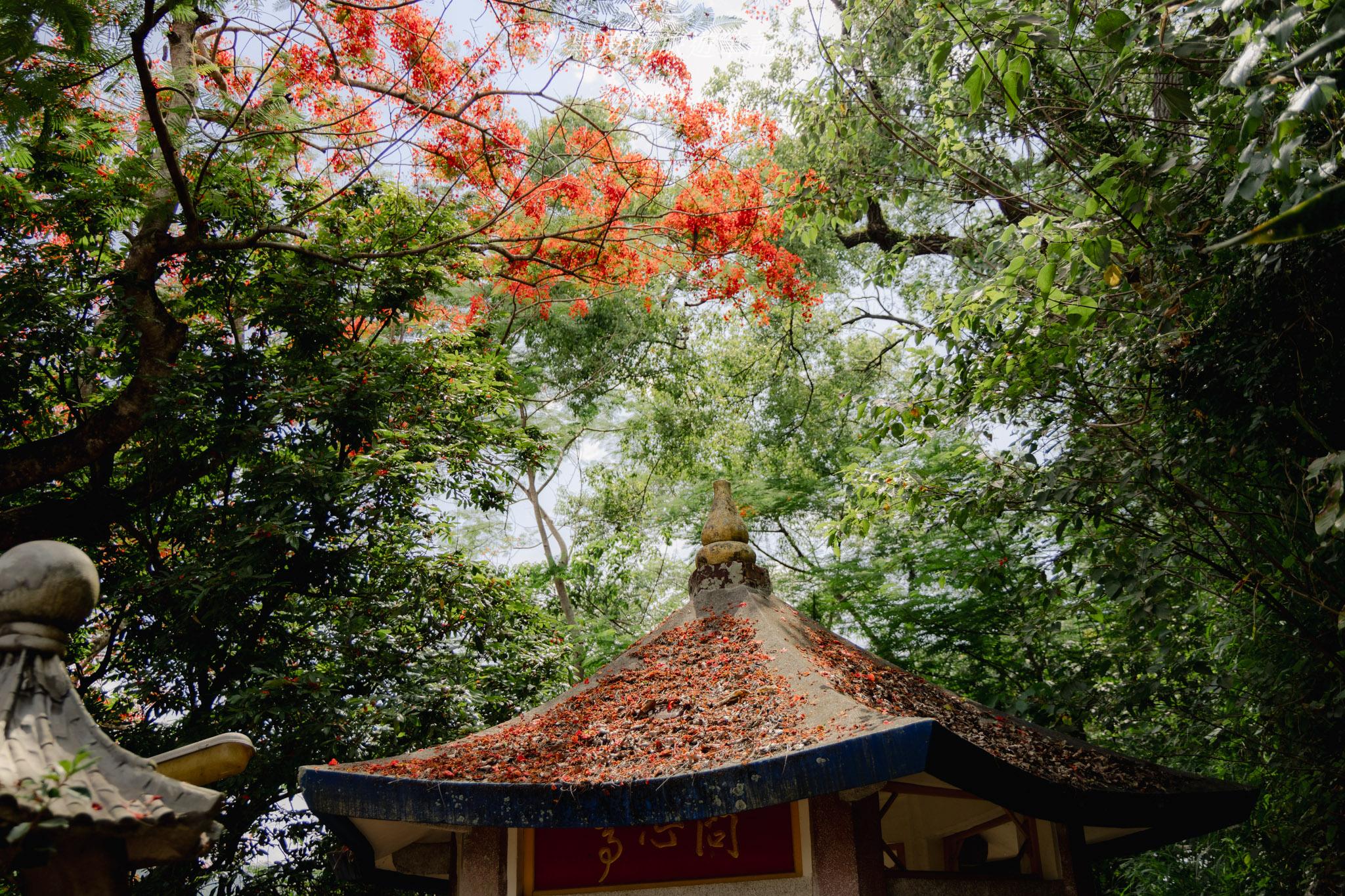 埔里醒靈寺